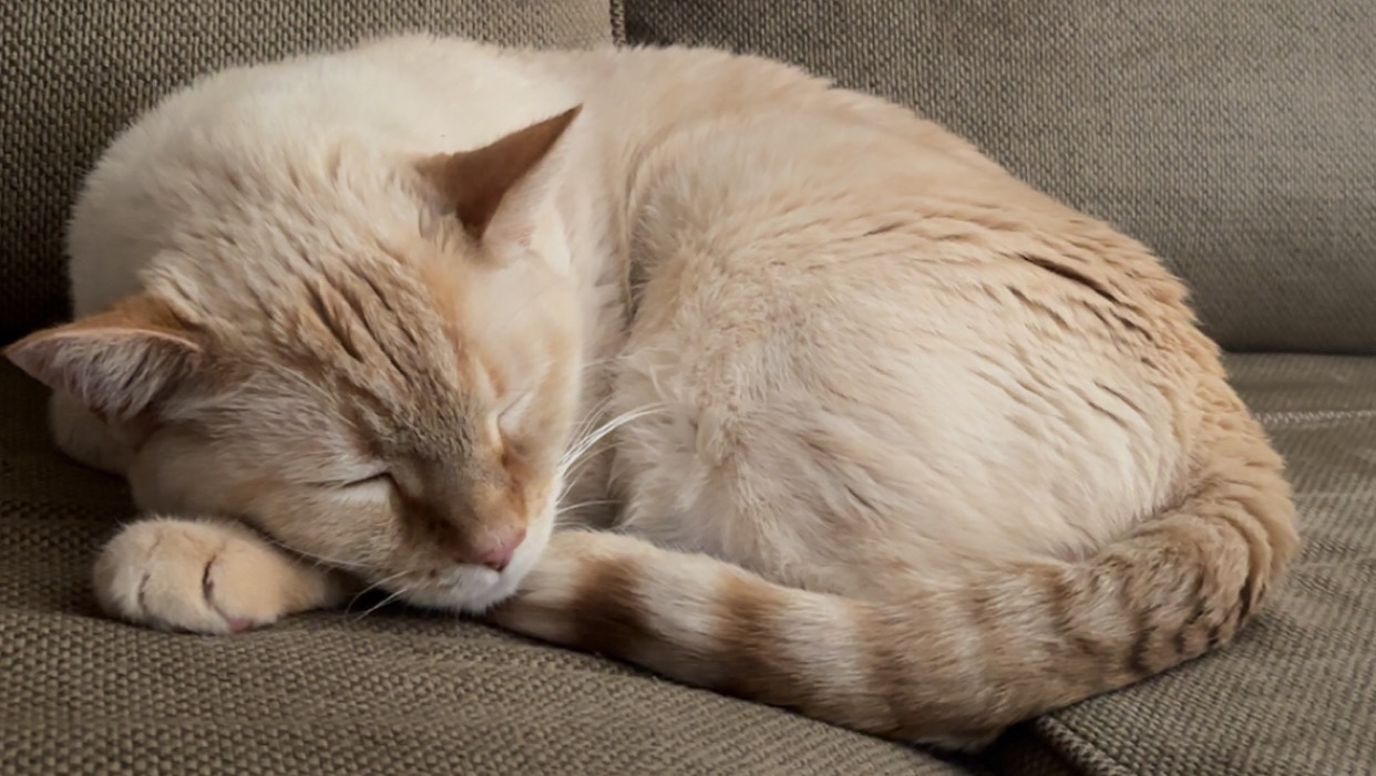 Poe’s Path to Recovery photo