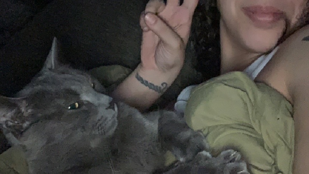 Help Save Alex: Surgery for My Support Cat photo