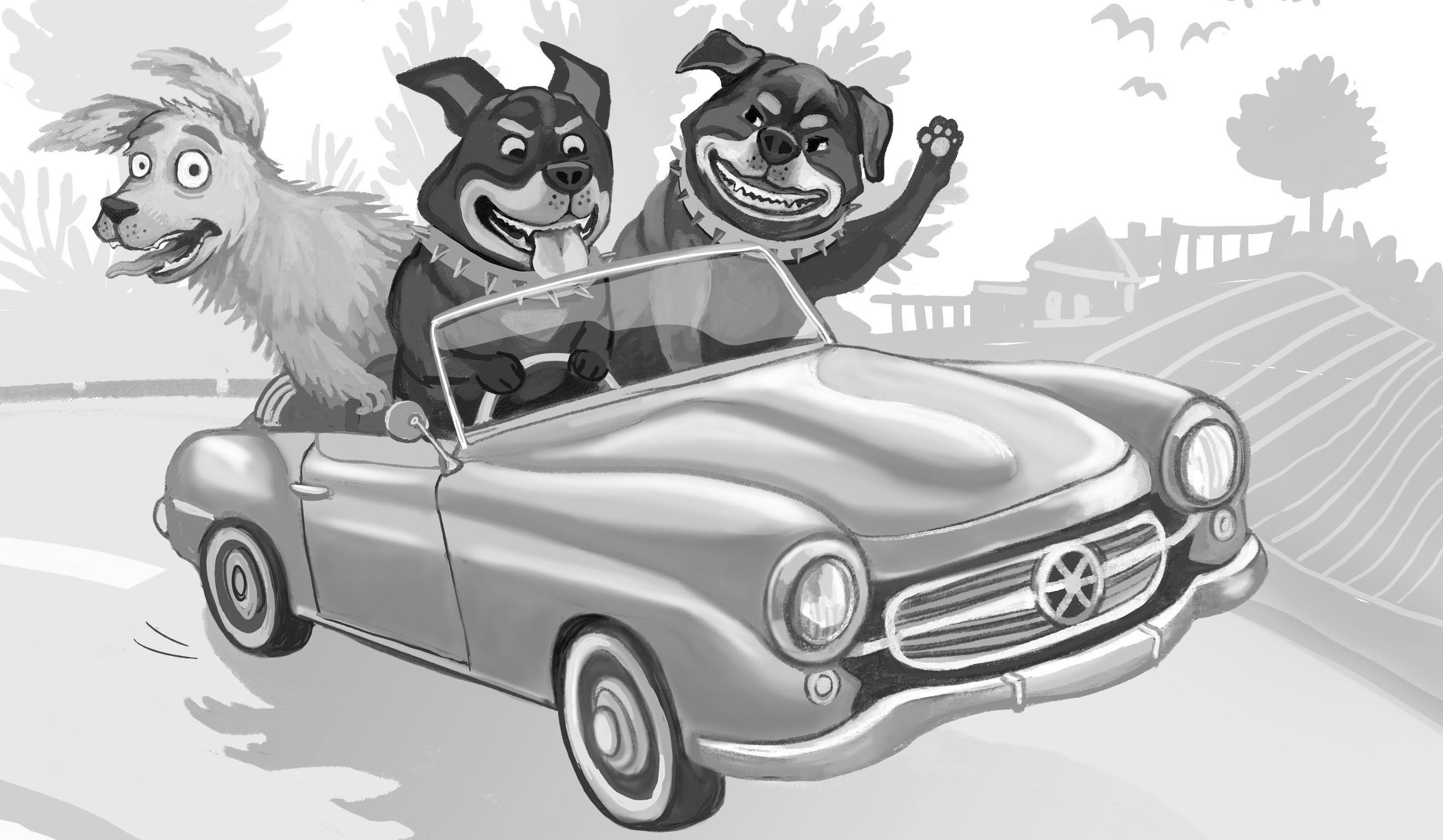 Help Launch Tae Kwon Dog’s Latest Kids' Adventure Book campaign photo, 4 of 8