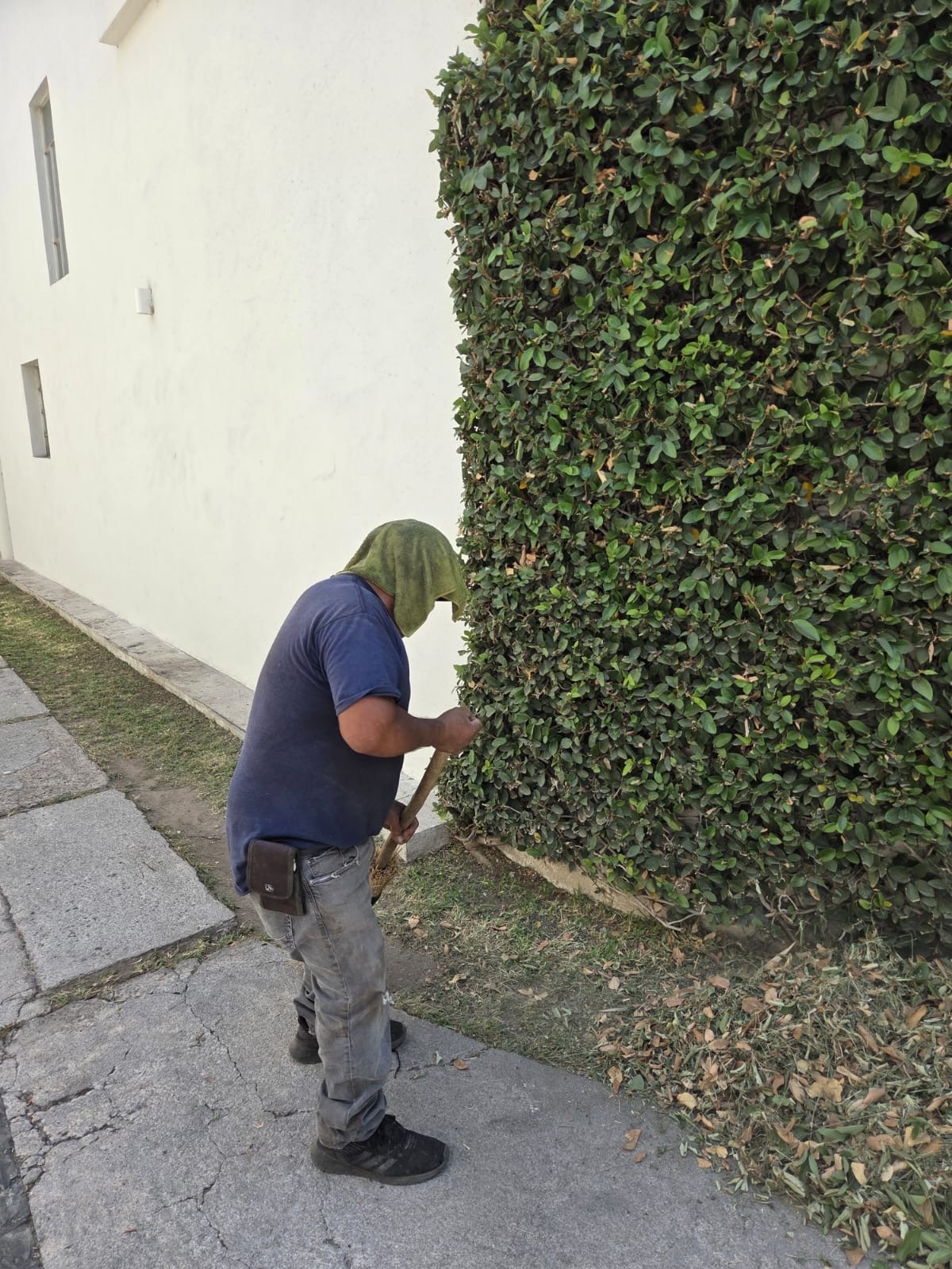Kampagnen-Foto für Help Don Beto — El jardinero de la combi azul de Guadalajara, 2 von 6