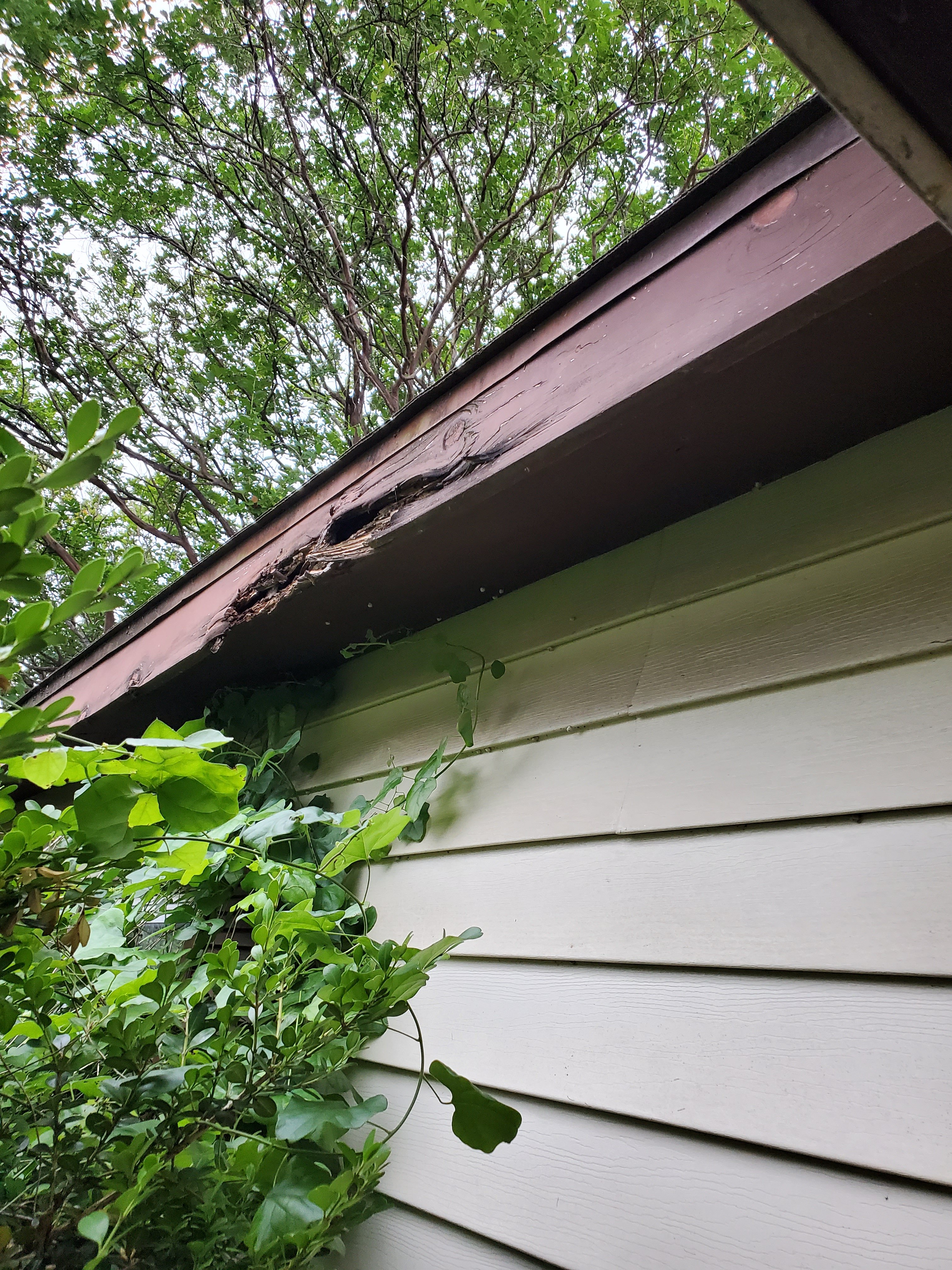 Help Us Replace Our Storm-Damaged Roof campaign photo, 2 of 5