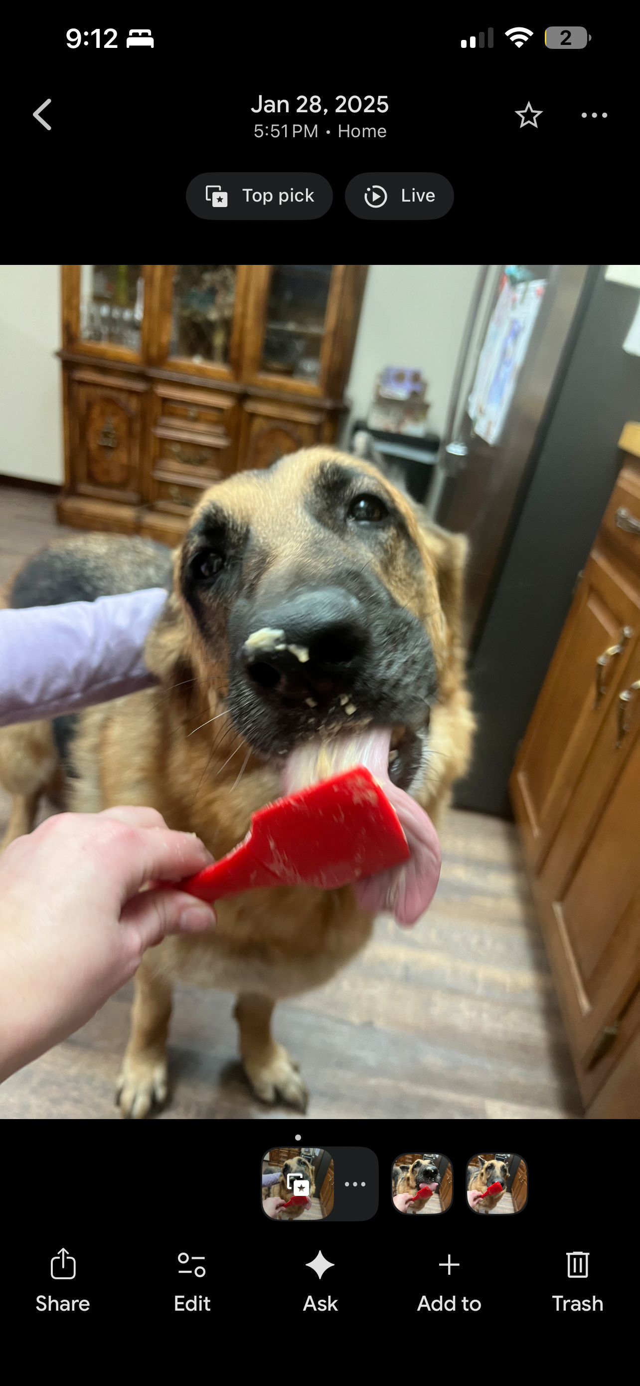 Help Zeni Recover from Emergency Surgery campaign photo, 6 of 8
