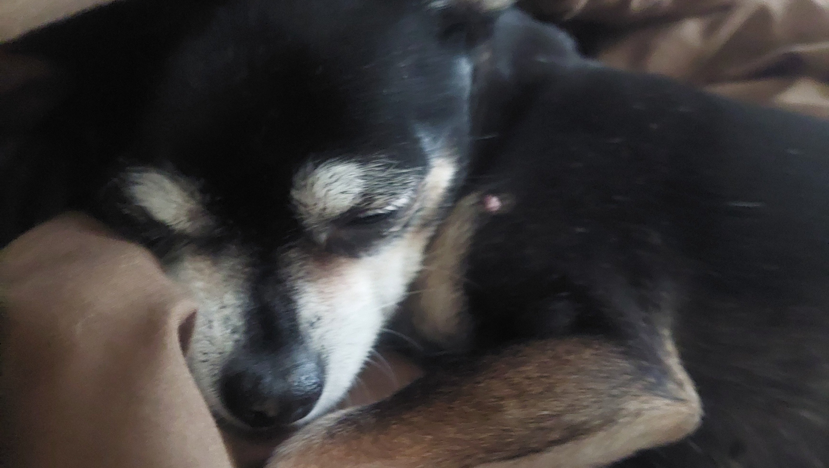Support Pepe's Urgent Medical Care photo