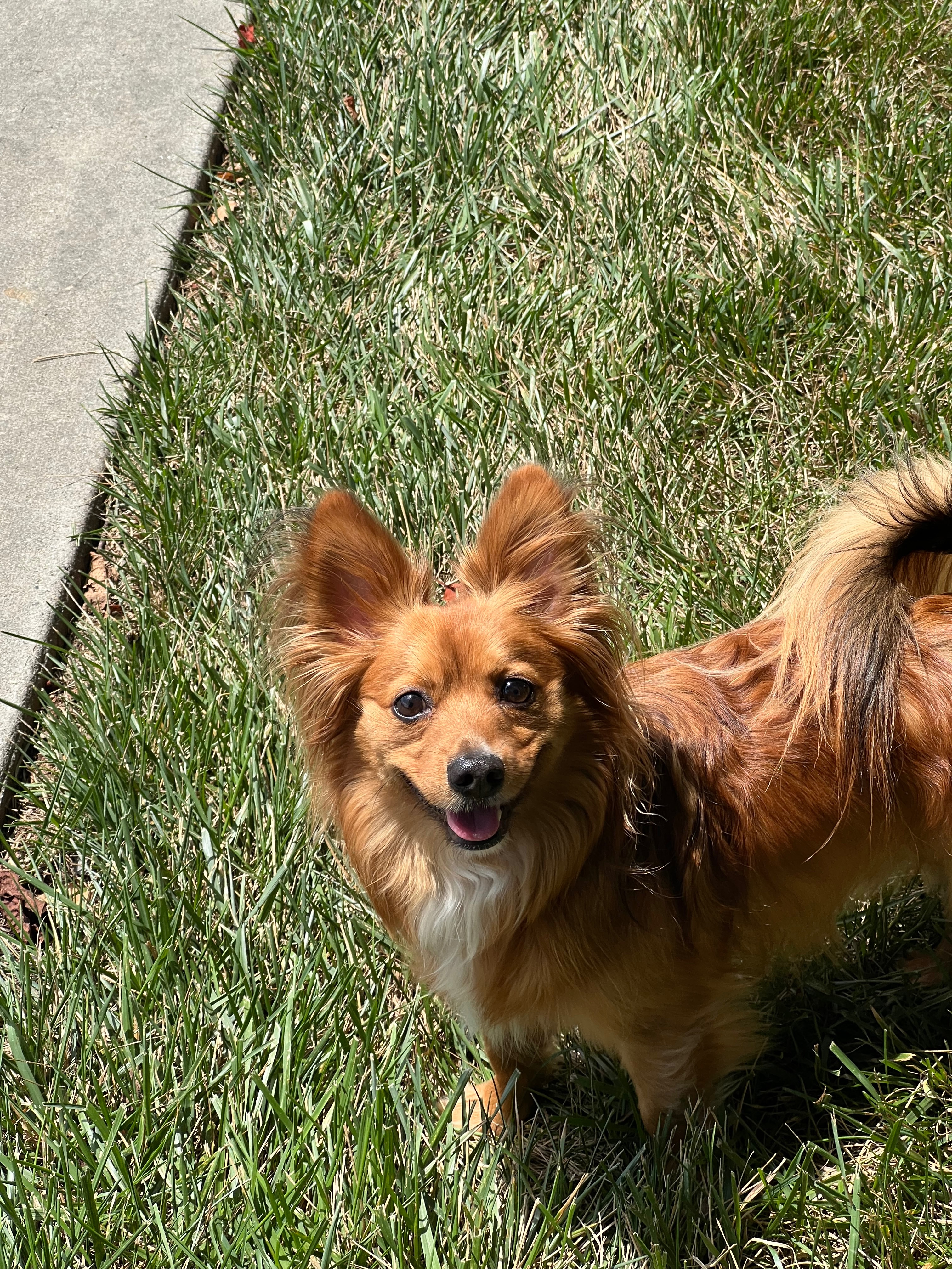 Help us relocate to Chicago after surviving Hurricane Helene campaign photo, 4 of 6