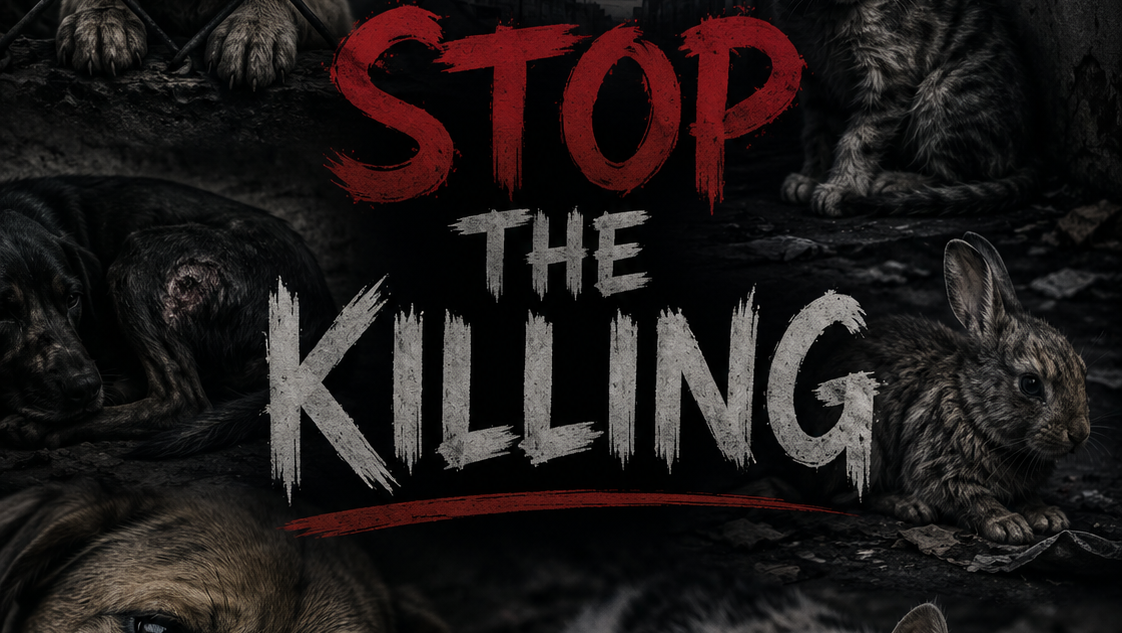 No-Kill Sanctuary for Animals photo
