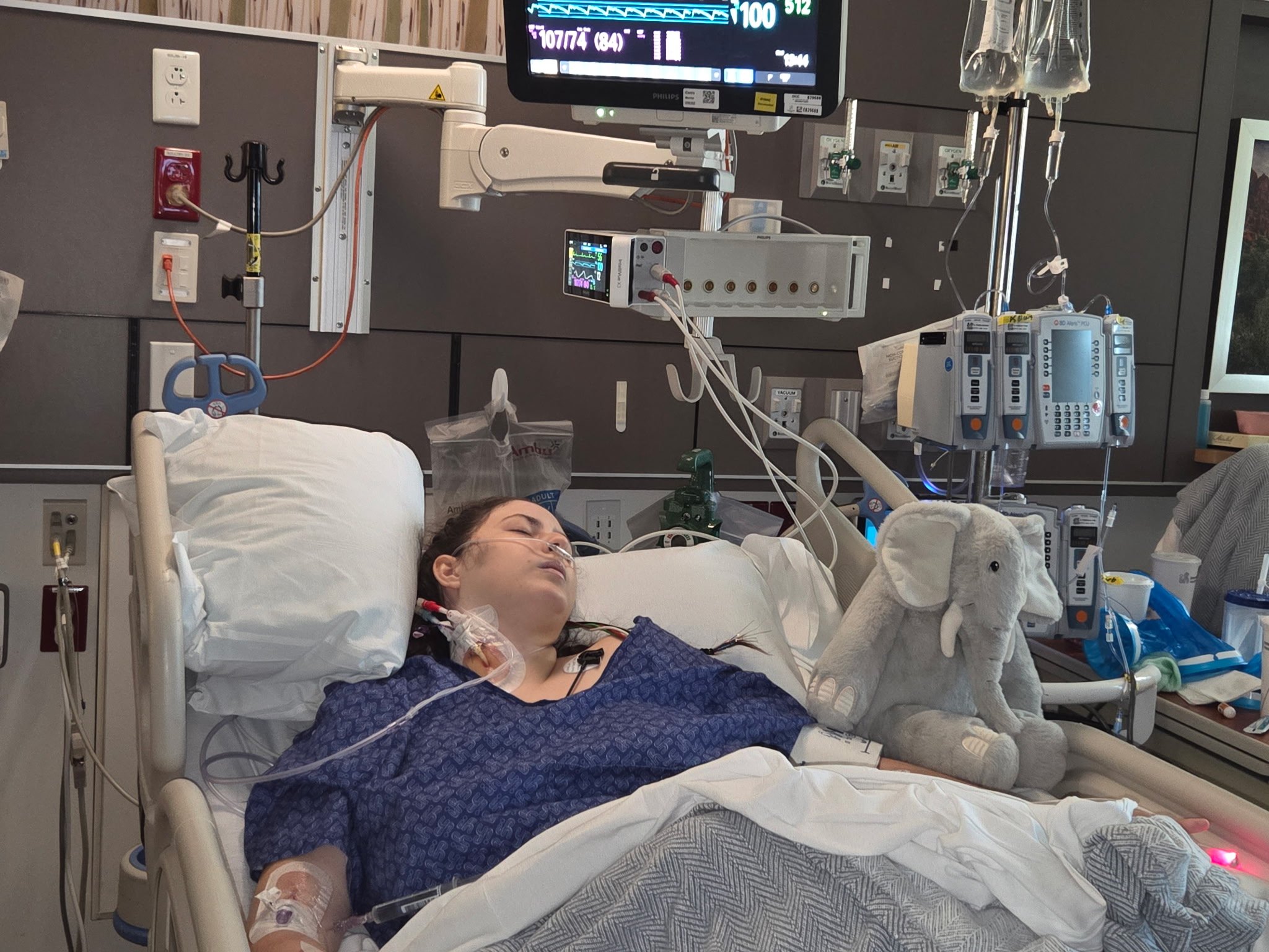 Help Maddie Heal After Grand Canyon Accident campaign photo, 2 of 8