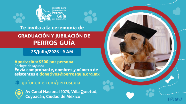 Salvemos a la Escuela de Perros Guía campaign photo, 6 of 8