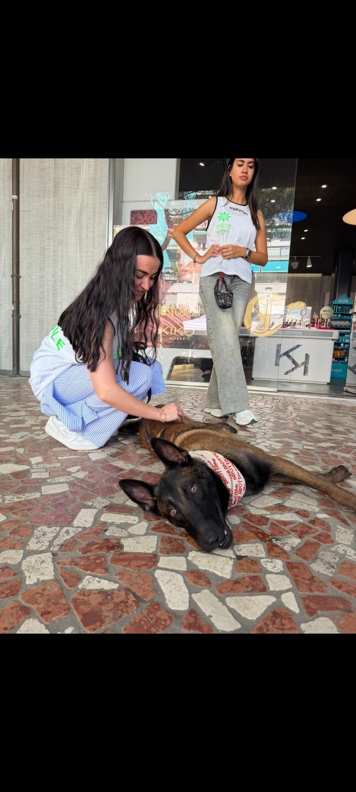 Leo, cucciolo Malinois, e la sua displasia da curare campaign photo, 5 of 8