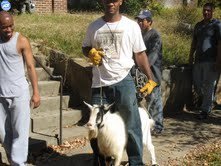 Help Cubby Finish His Memoir on Food & Community campaign photo, 4 of 7