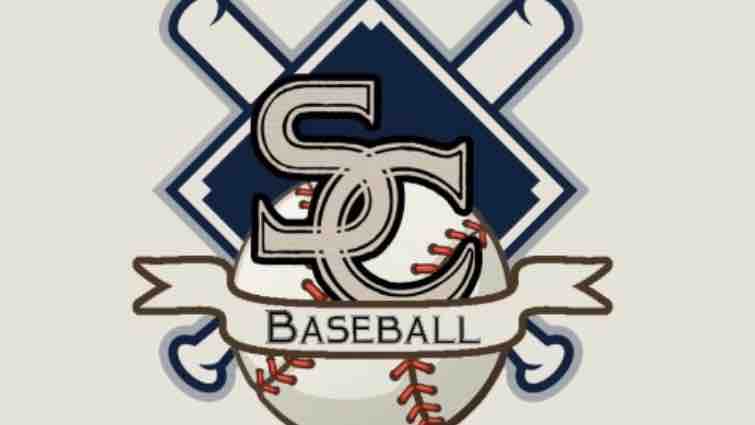 Help Grow My Baseball TikTok photo
