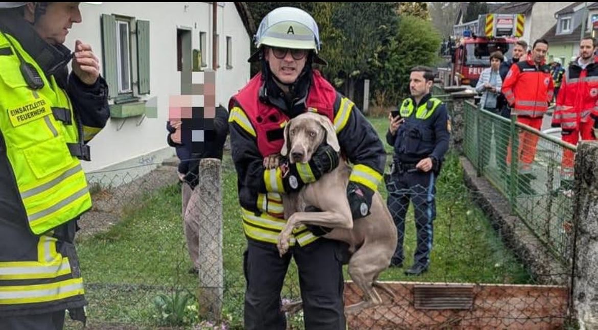 Brand zerstört Lebensgrundlage einer Familie aus Kaufbeuren campaign photo, 2 of 8