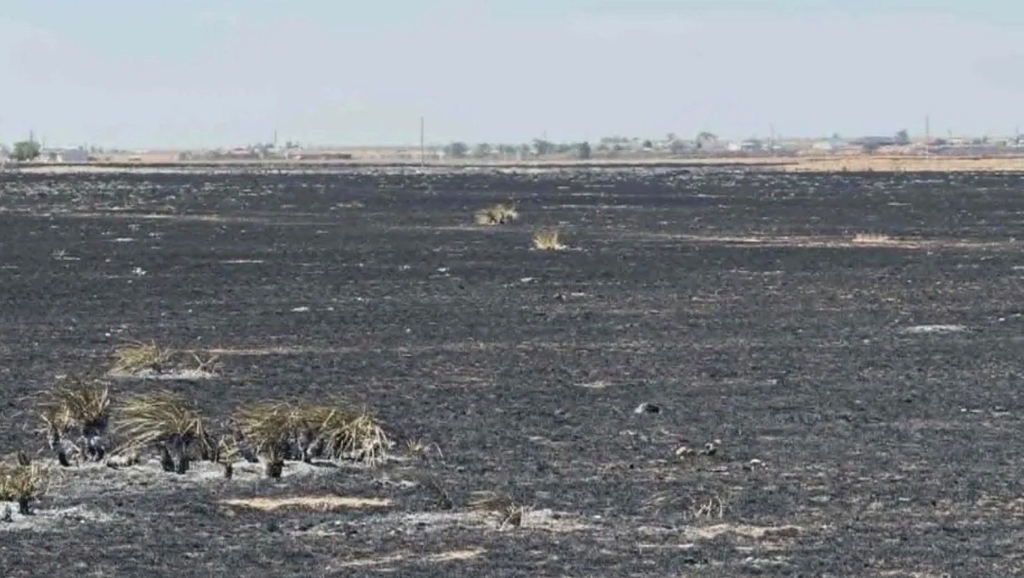 Fundraiser by Carson Propps : Trucking Cost for Dry Lighting Fires