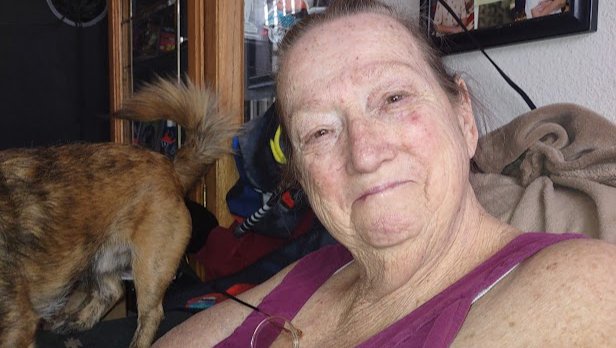 Help Virginia Keep Her Family Safe photo