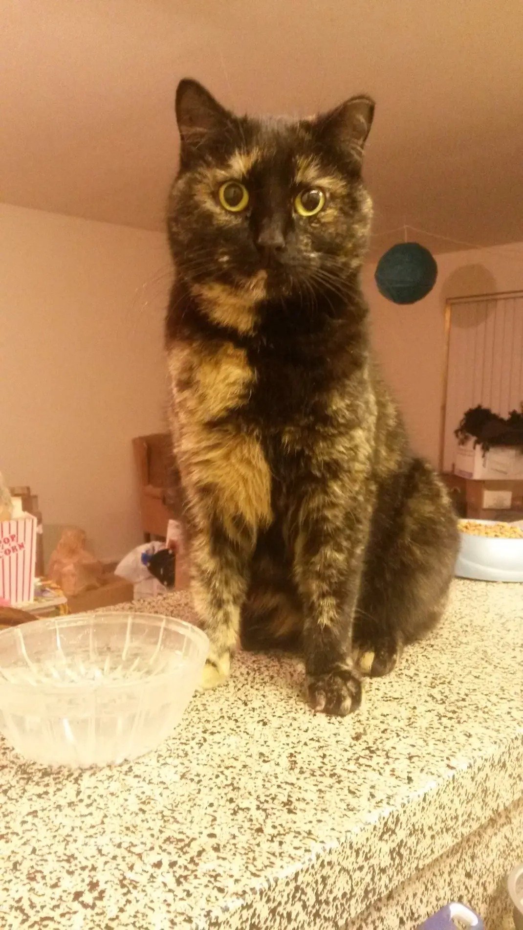 Support Marmalade’s Cancer Treatment Journey campaign photo, 7 of 8