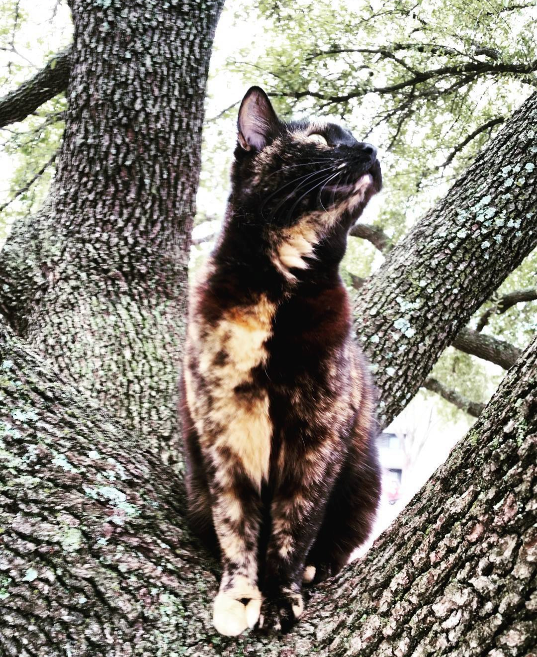 Support Marmalade’s Cancer Treatment Journey campaign photo, 2 of 8