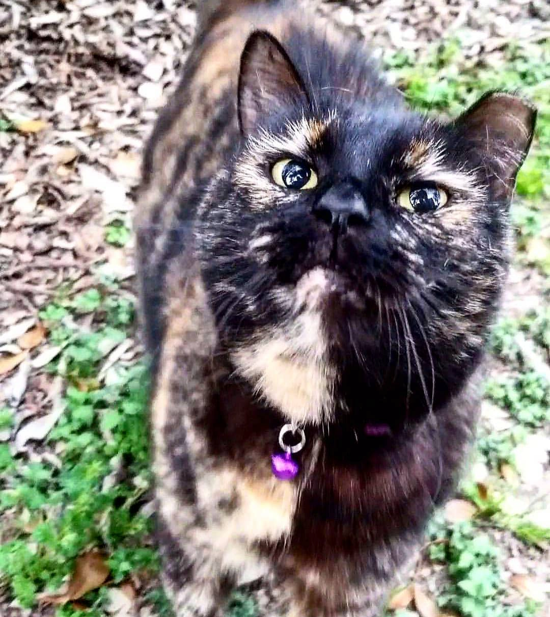 Support Marmalade’s Cancer Treatment Journey campaign photo, 4 of 8