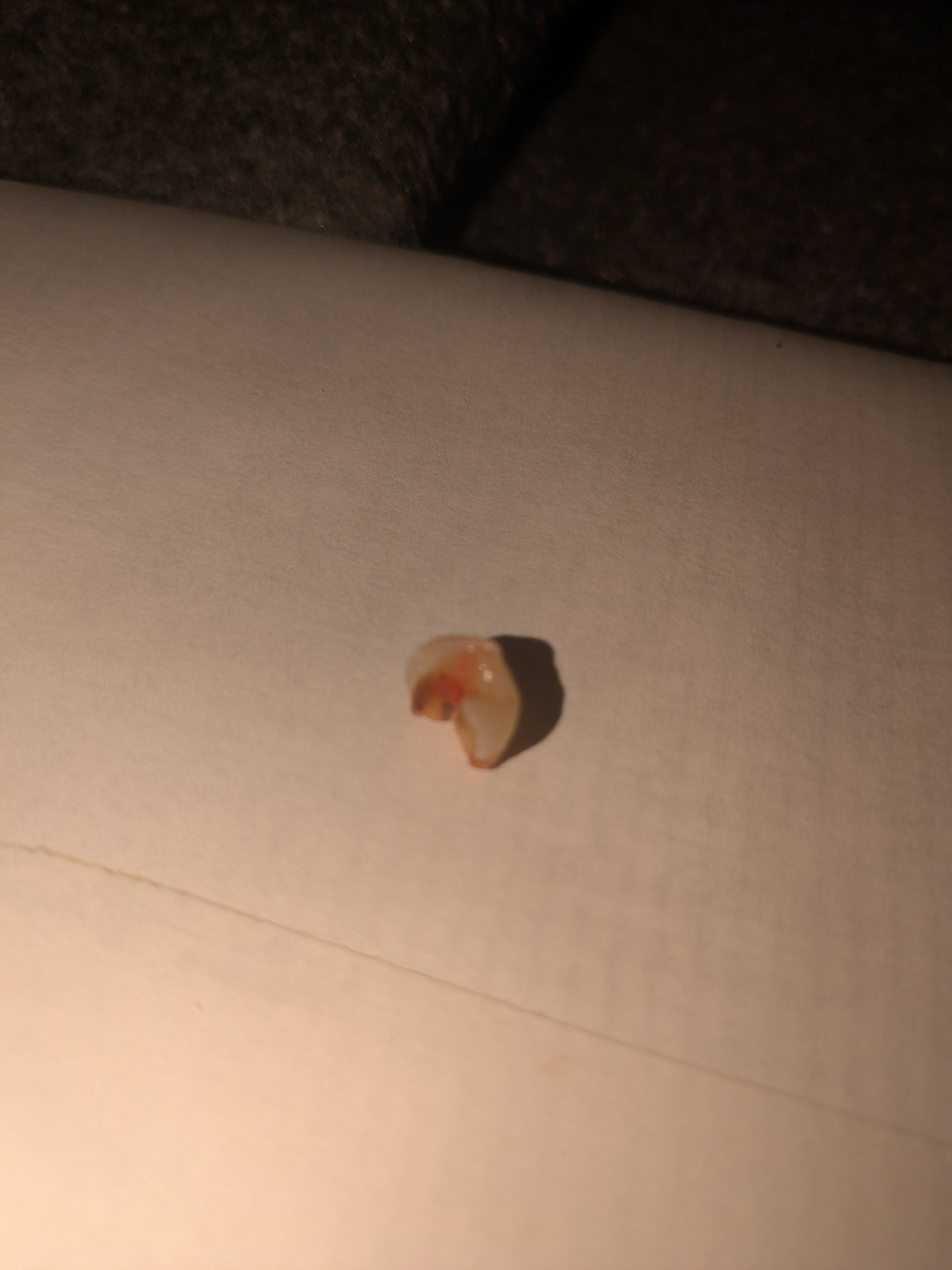 Help Me Smile Again — Dental Reconstruction at 46 campaign photo, 6 of 7