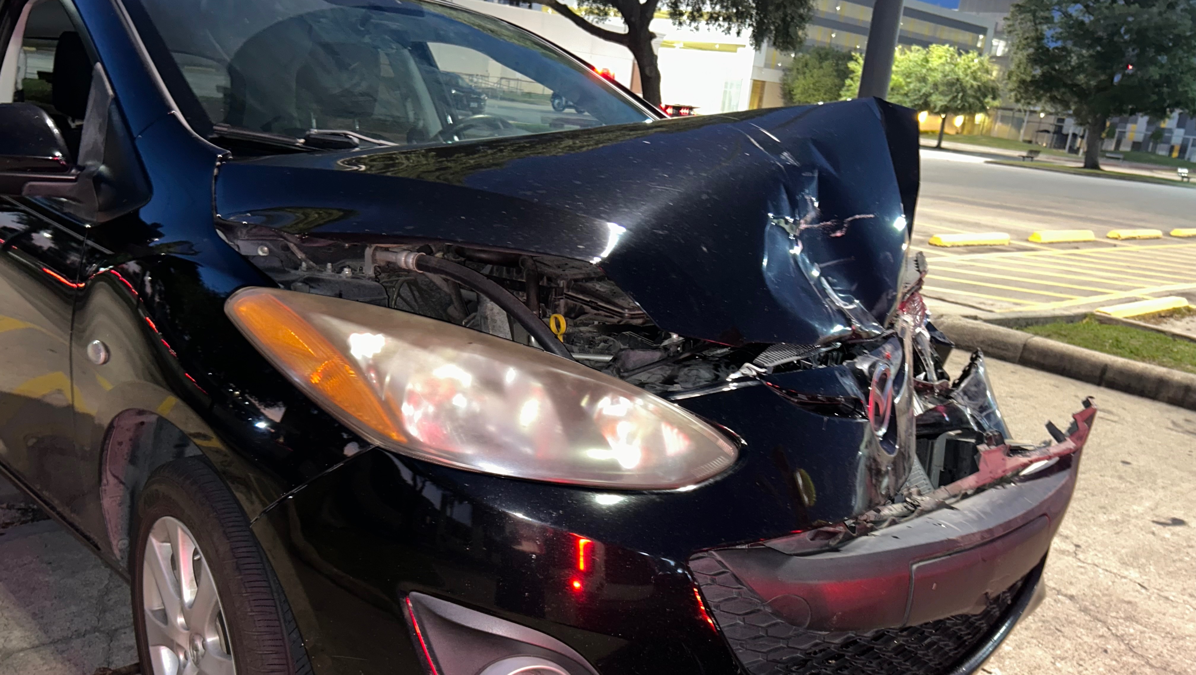Help Bernie Replace Her Totaled Car photo