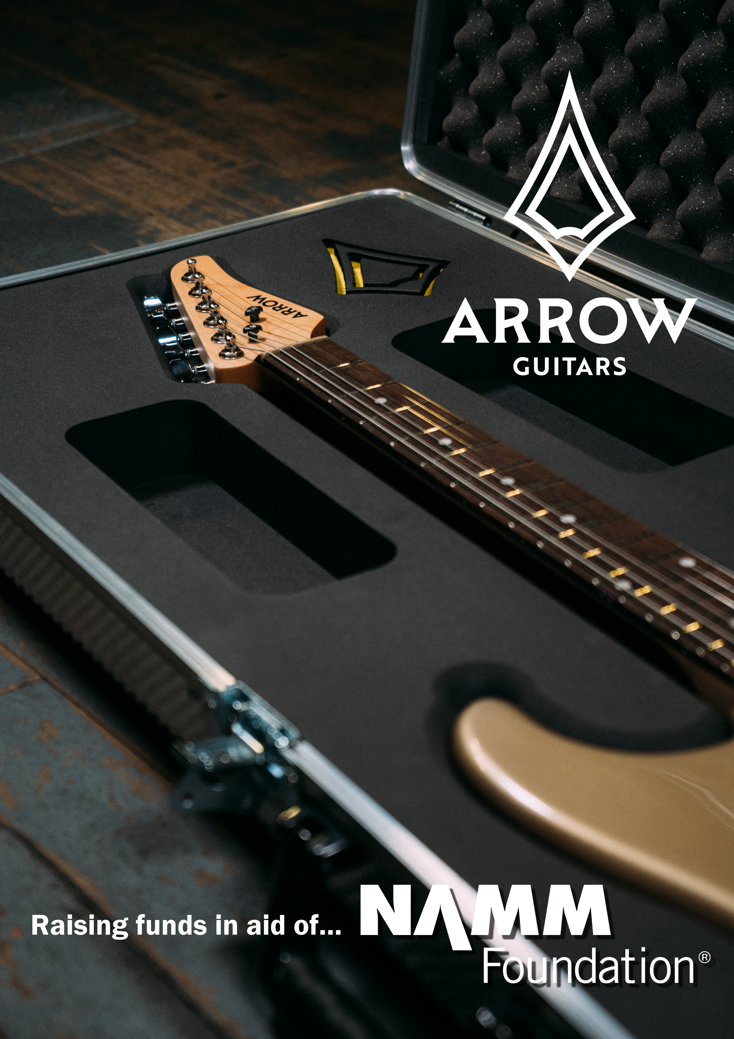 Arrow Around the World , in Aid of the NAMM Foundation campaign photo, 5 of 6