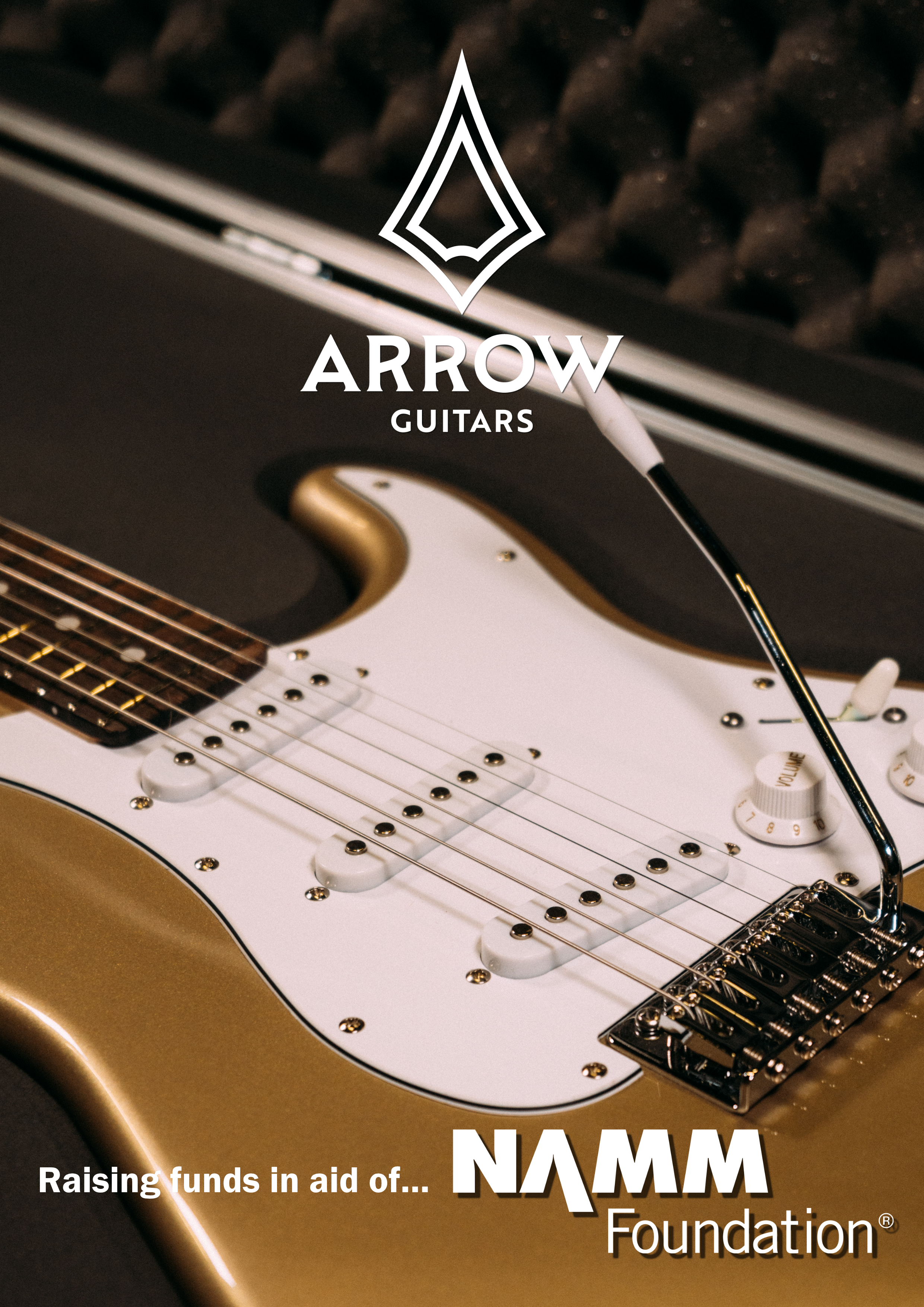 Arrow Around the World , in Aid of the NAMM Foundation campaign photo, 2 of 6