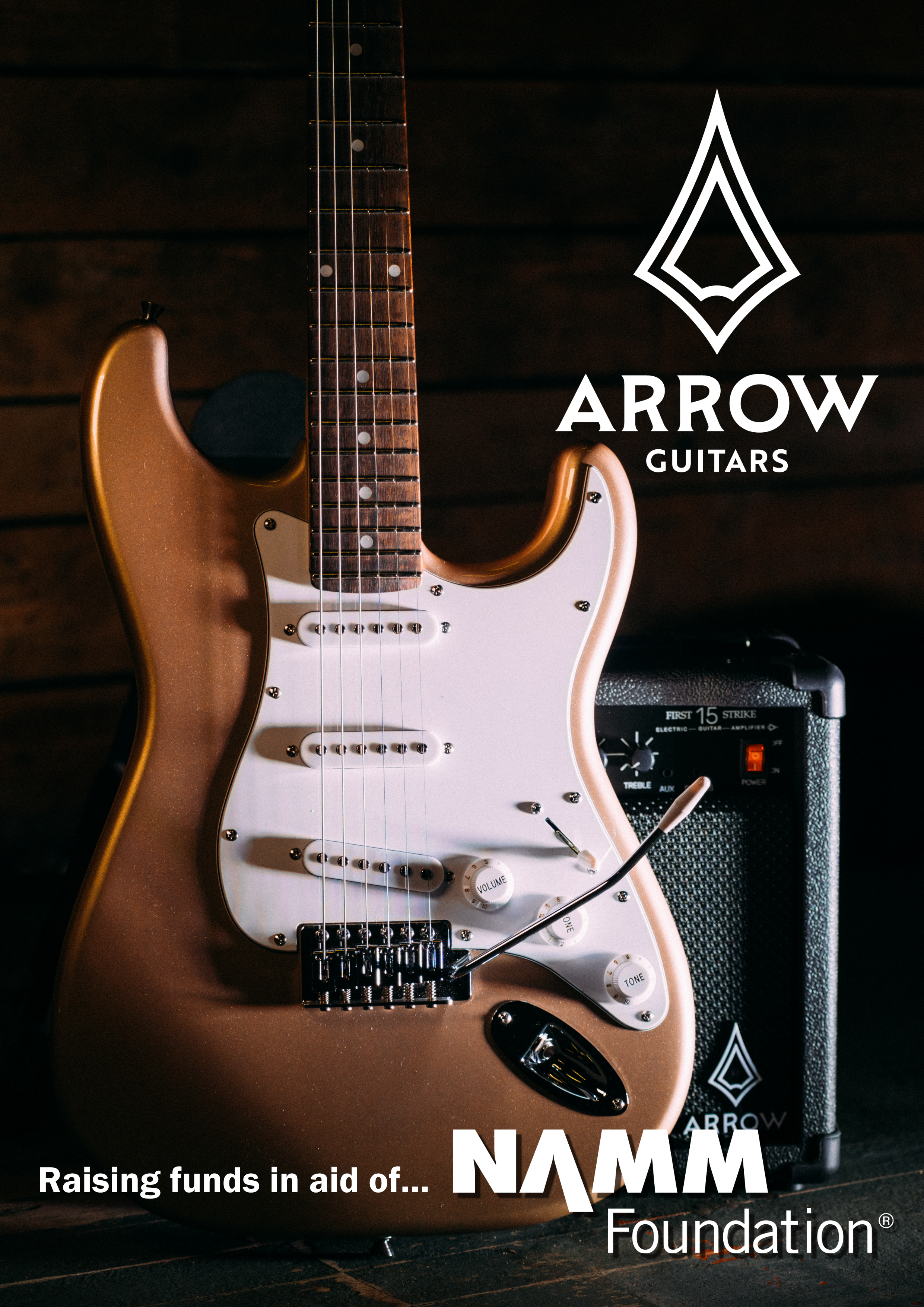 Arrow Around the World , in Aid of the NAMM Foundation campaign photo, 4 of 6