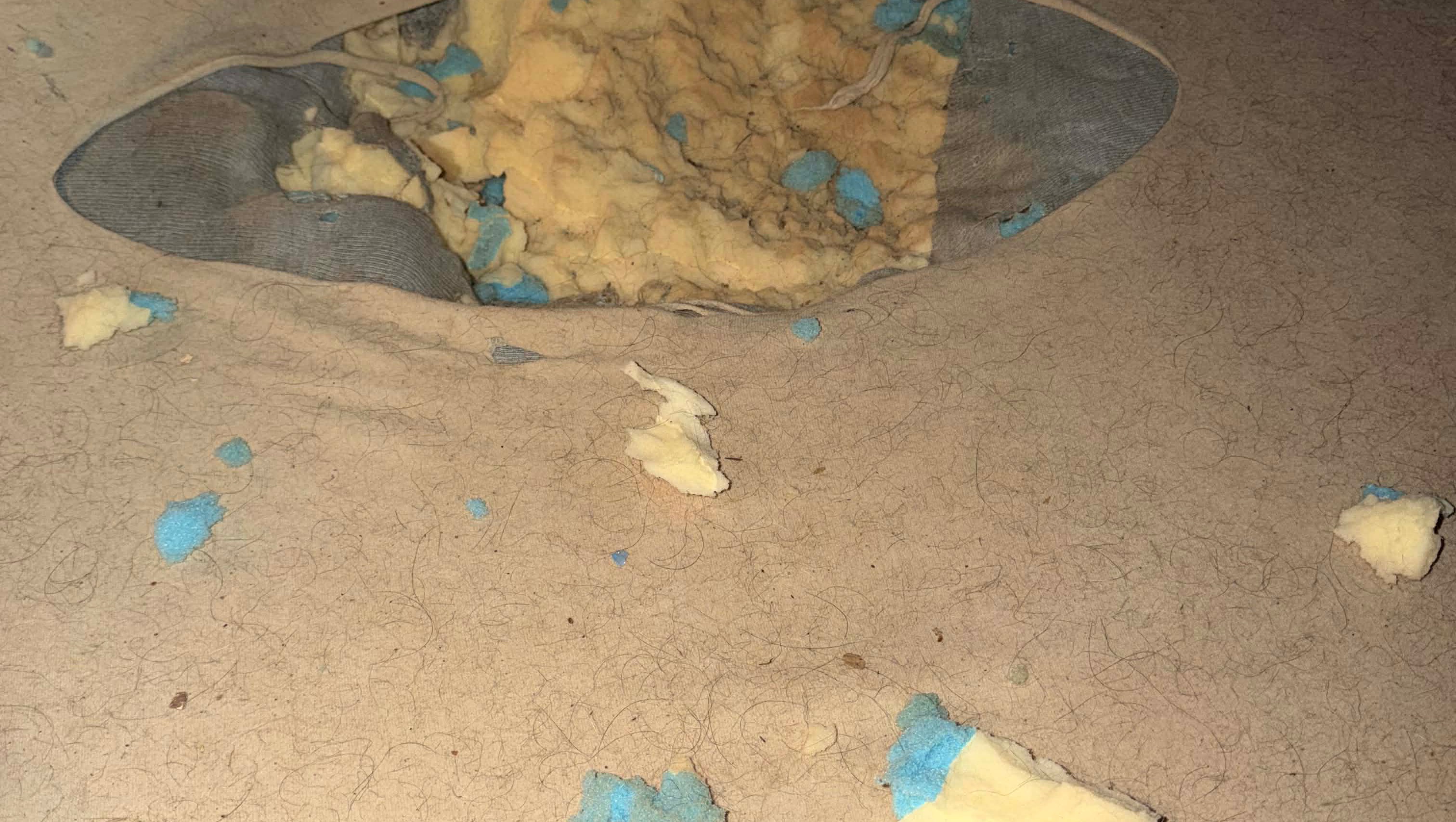 Help Zen’Yari Get a New Mattress photo