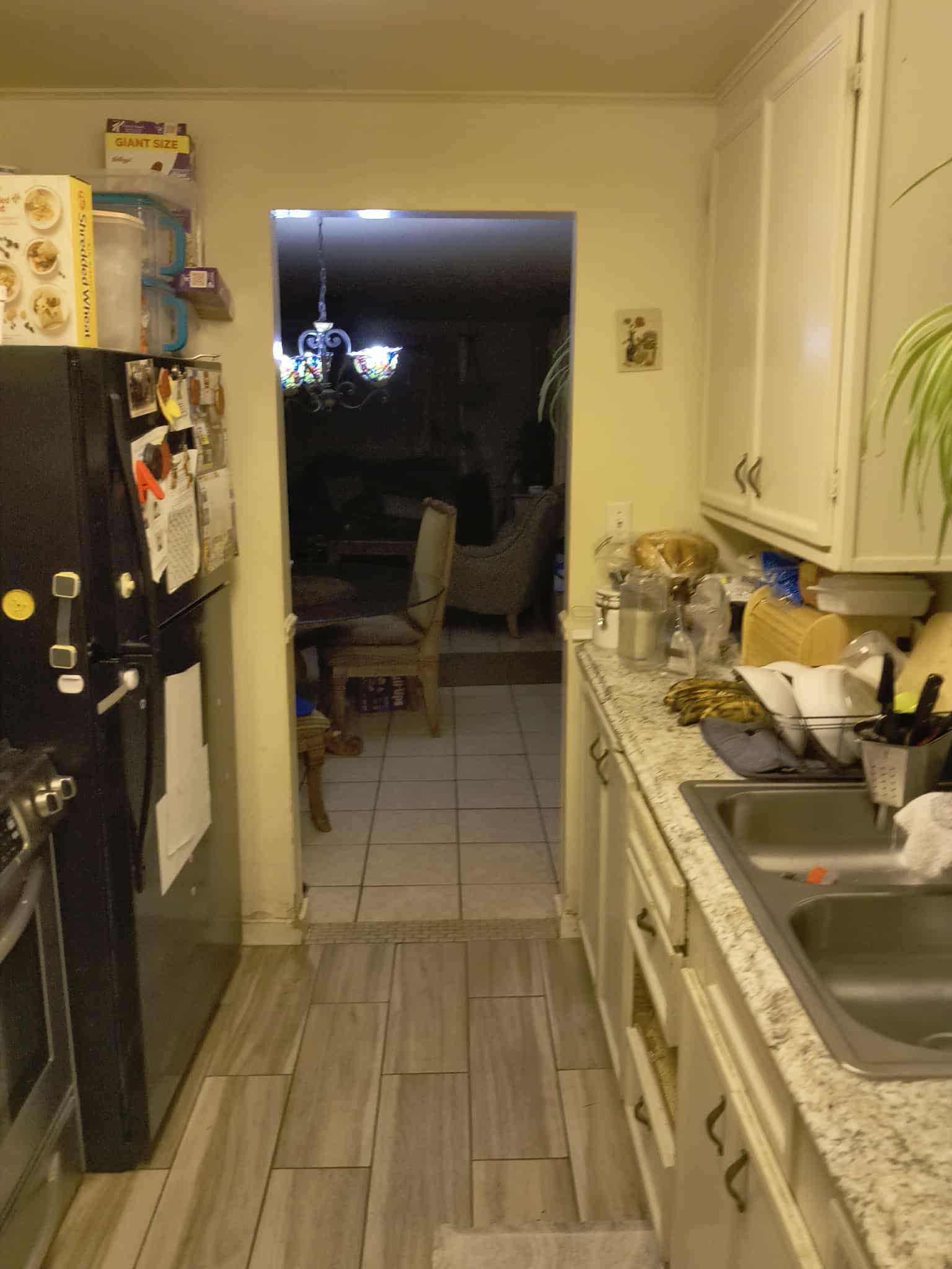 Help Restore My Mother's Home and Garden campaign photo, 6 of 8
