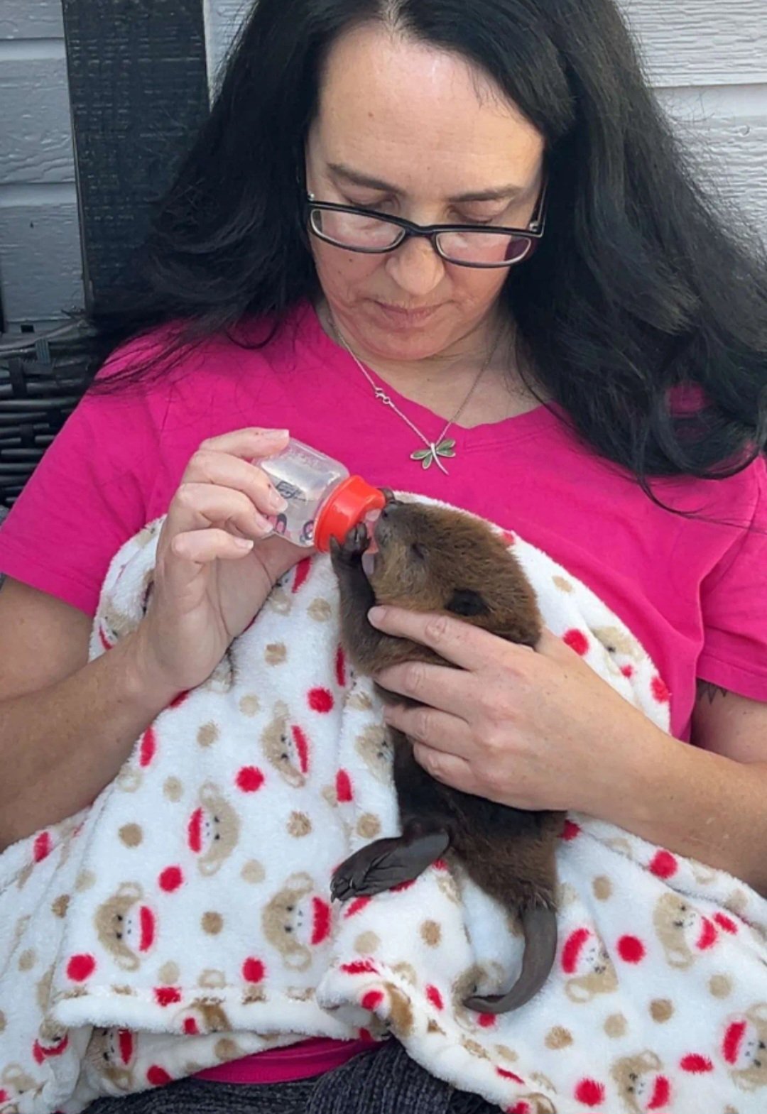 Help Michelle Repair Her Wildlife Rescue Vehicle campaign photo, 4 of 7