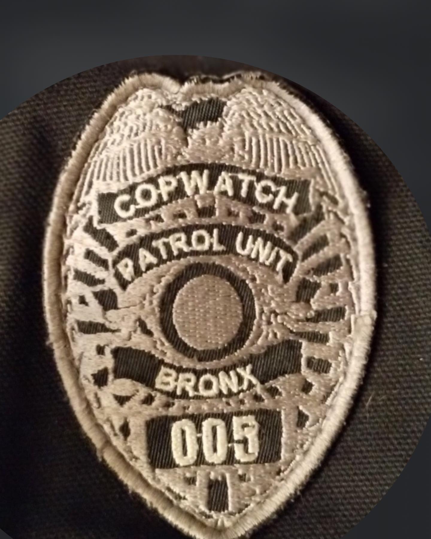 Support Police Accountability in Brooklyn campaign photo, 6 of 8