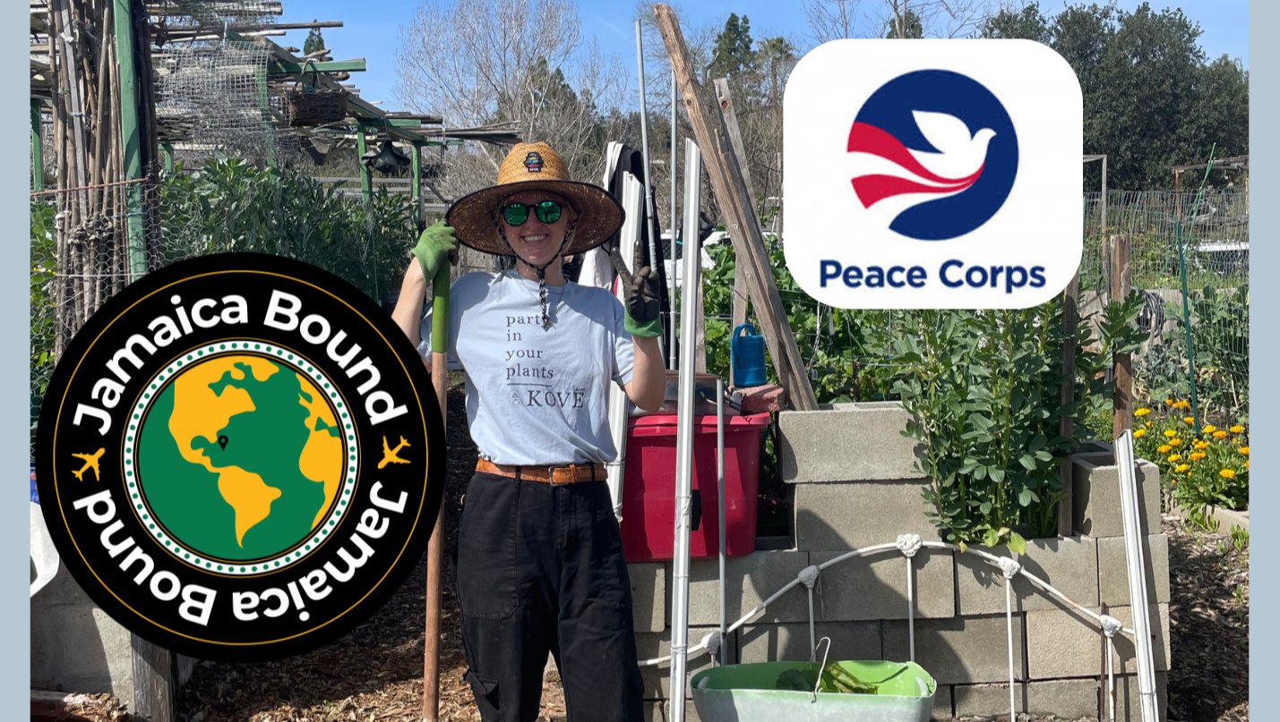 Support Sage's Peace Corps Service in Jamaica photo