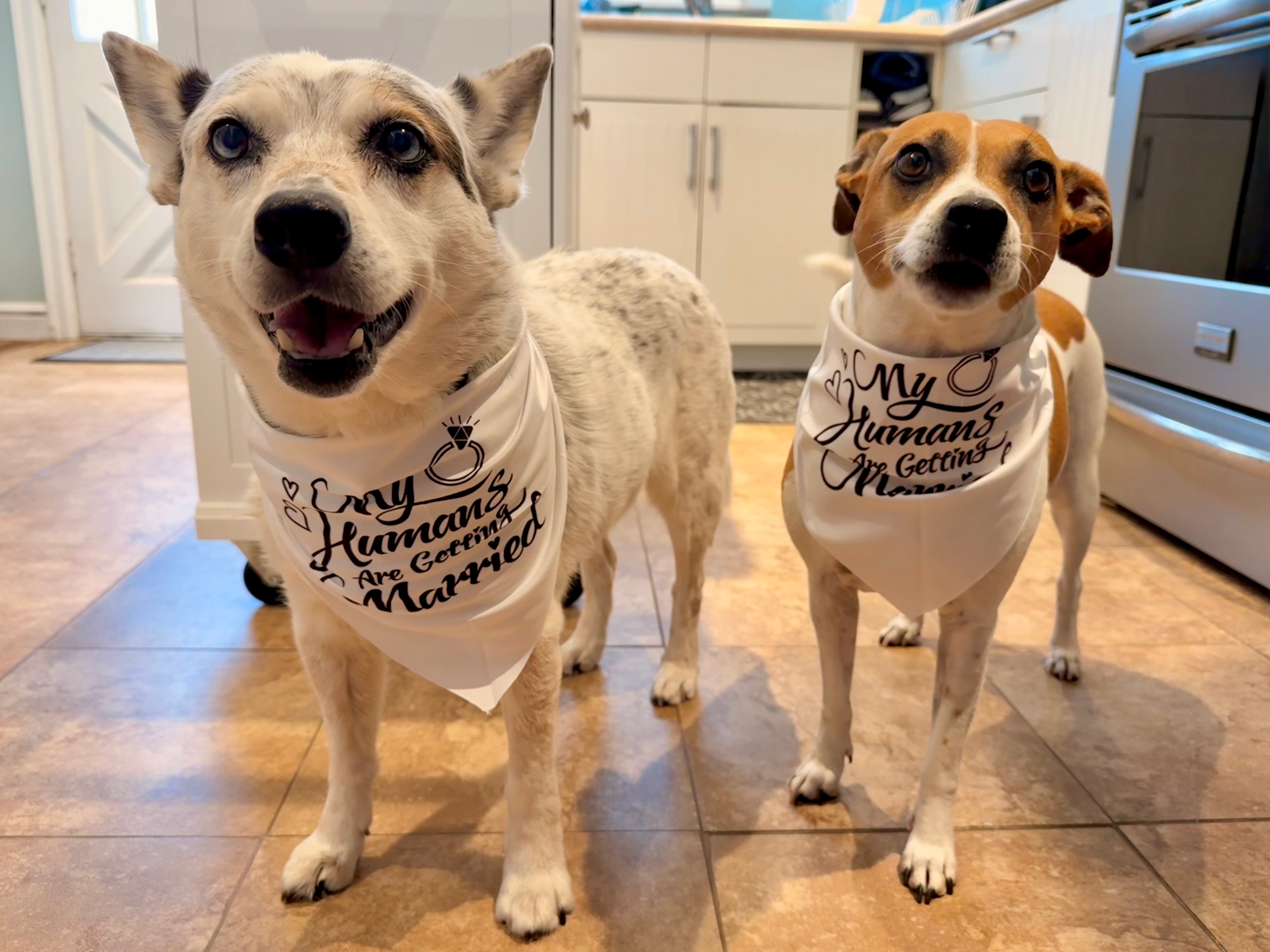 Bindi’s surgery & recovery campaign photo, 5 of 6