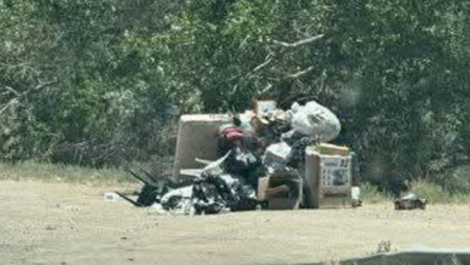Help Clean Up Our Community with Junk Removal photo