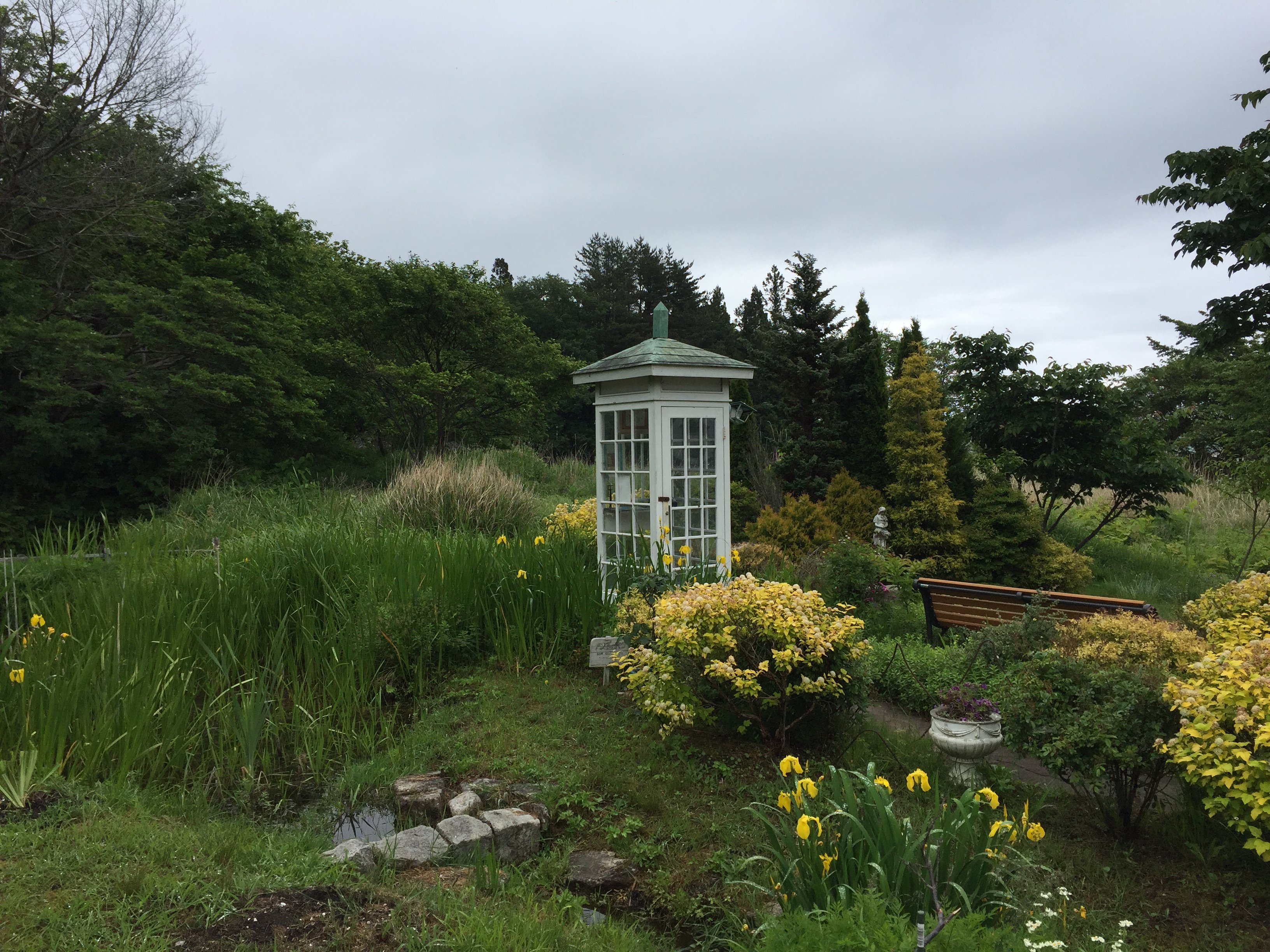 Support the Vashon Wind Phone Project campaign photo, 4 of 8