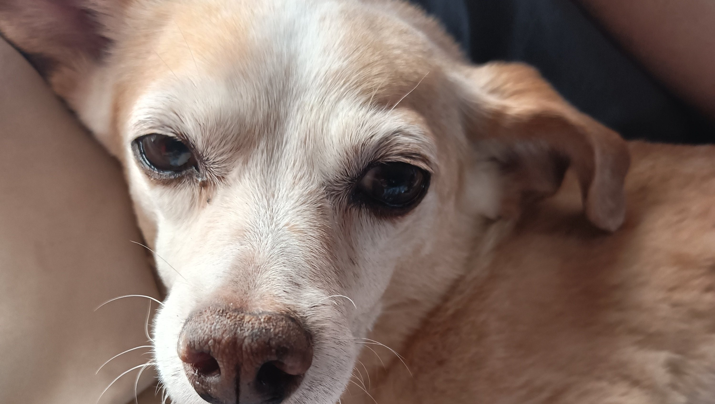 Help Lori's Family Find Stability & Healing photo