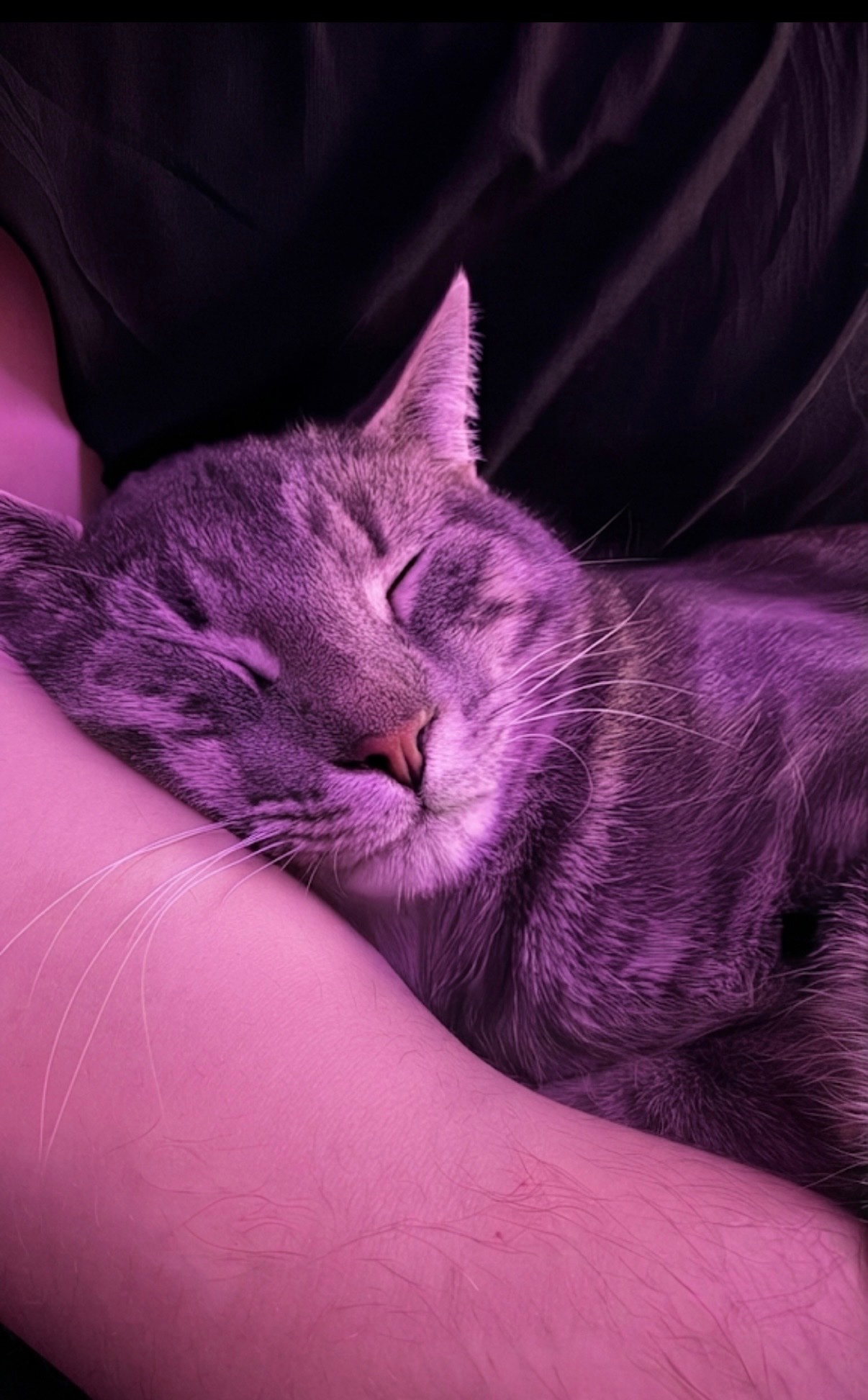 Trying to give him back his life. campaign photo, 2 of 6