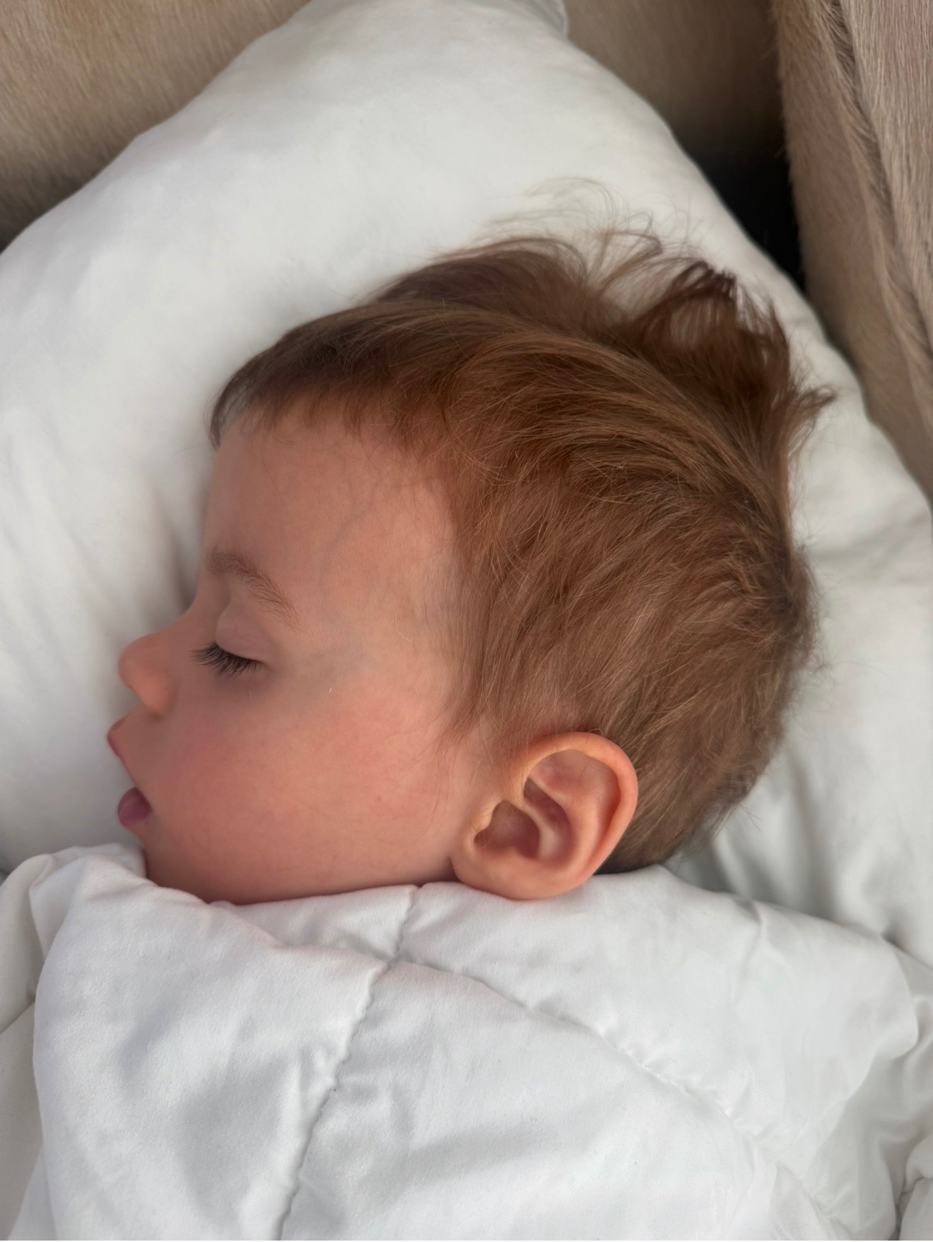 Help Monica’s Grandson Get Urgent Medical Care campaign photo, 4 of 7