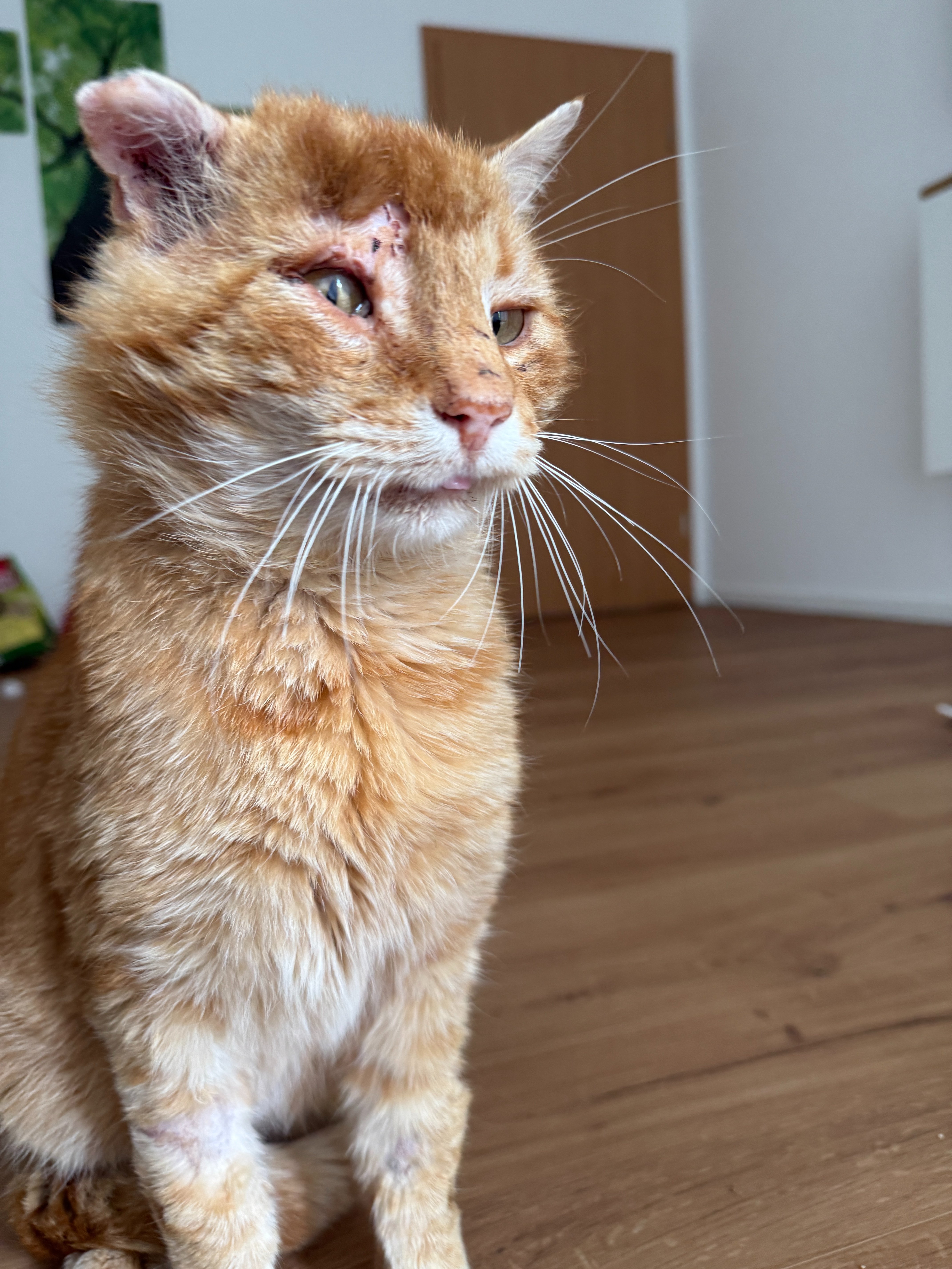 Kampagnen-Foto für Uns gehen die Mäuse aus, 5 von 8