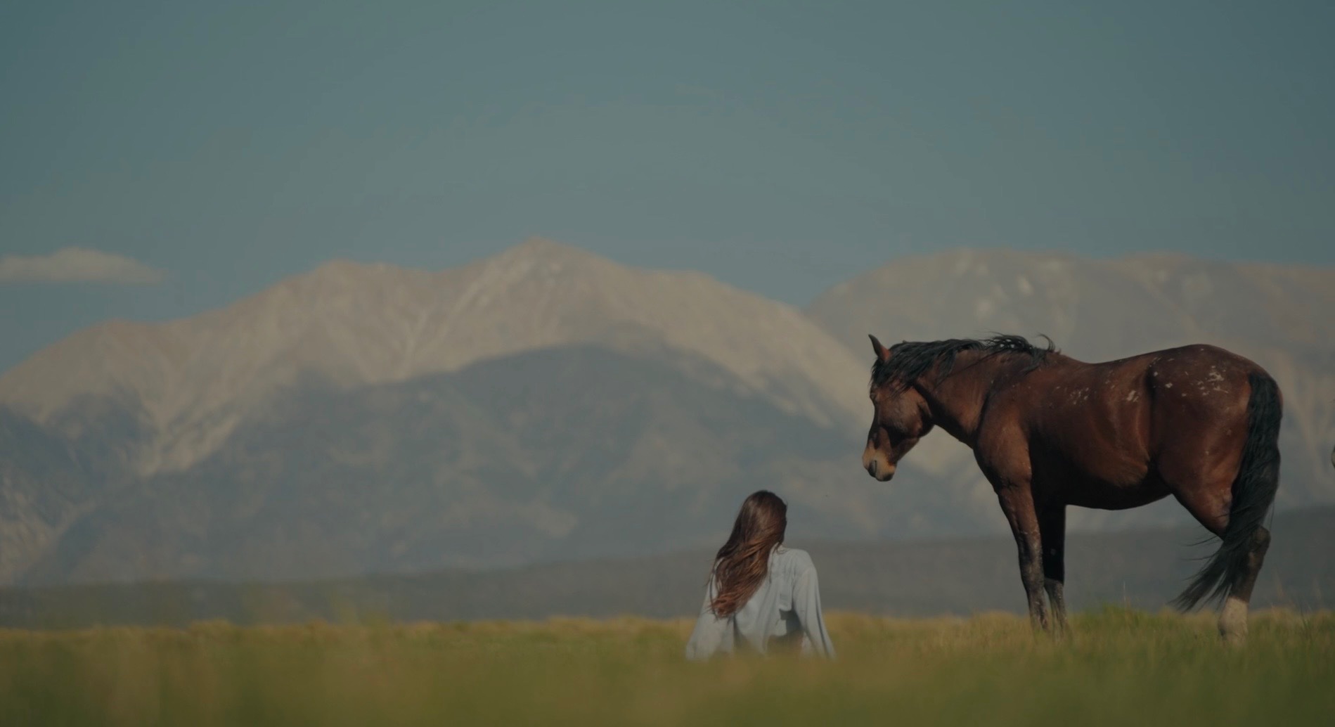 Support the a film about saving wild horses campaign photo, 5 of 8