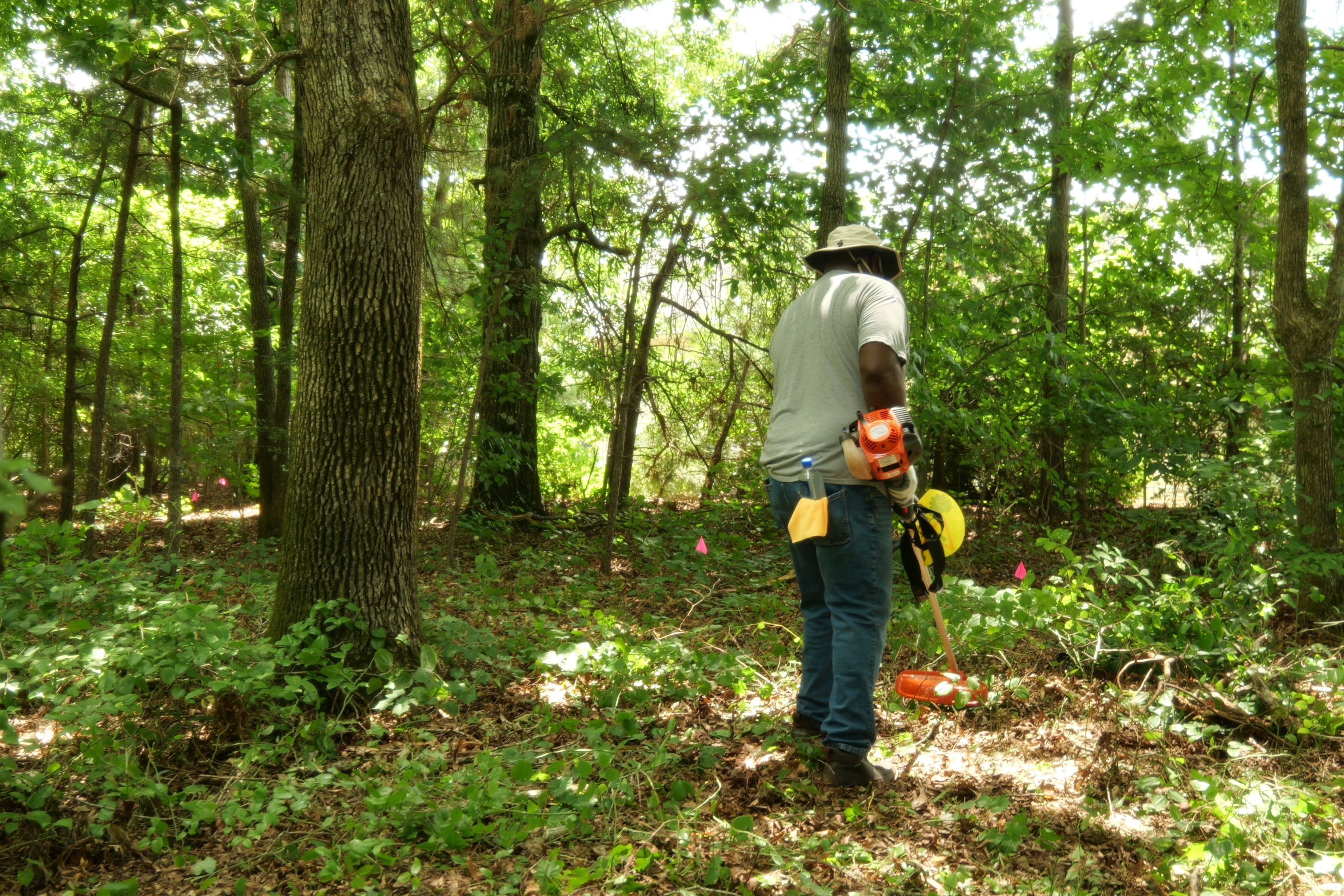 Stand with Us to Save Historic Black Cemeteries campaign photo, 2 of 6