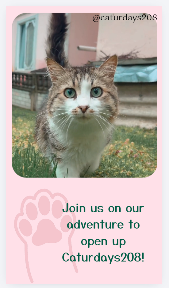 Help Launch Caturdays208 Cat Cafe campaign photo, 5 of 8