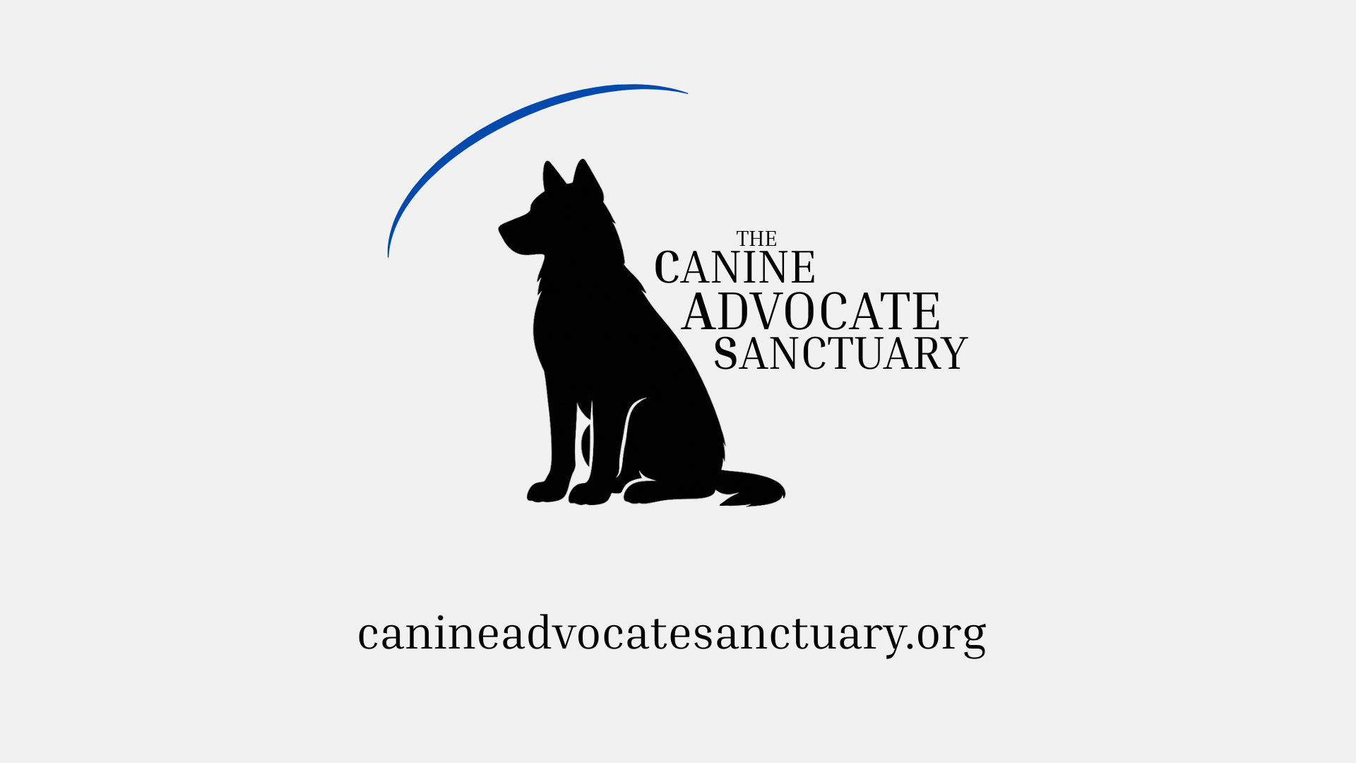 Help Save Rescue Dogs From Being Euthanised campaign photo, 4 of 6