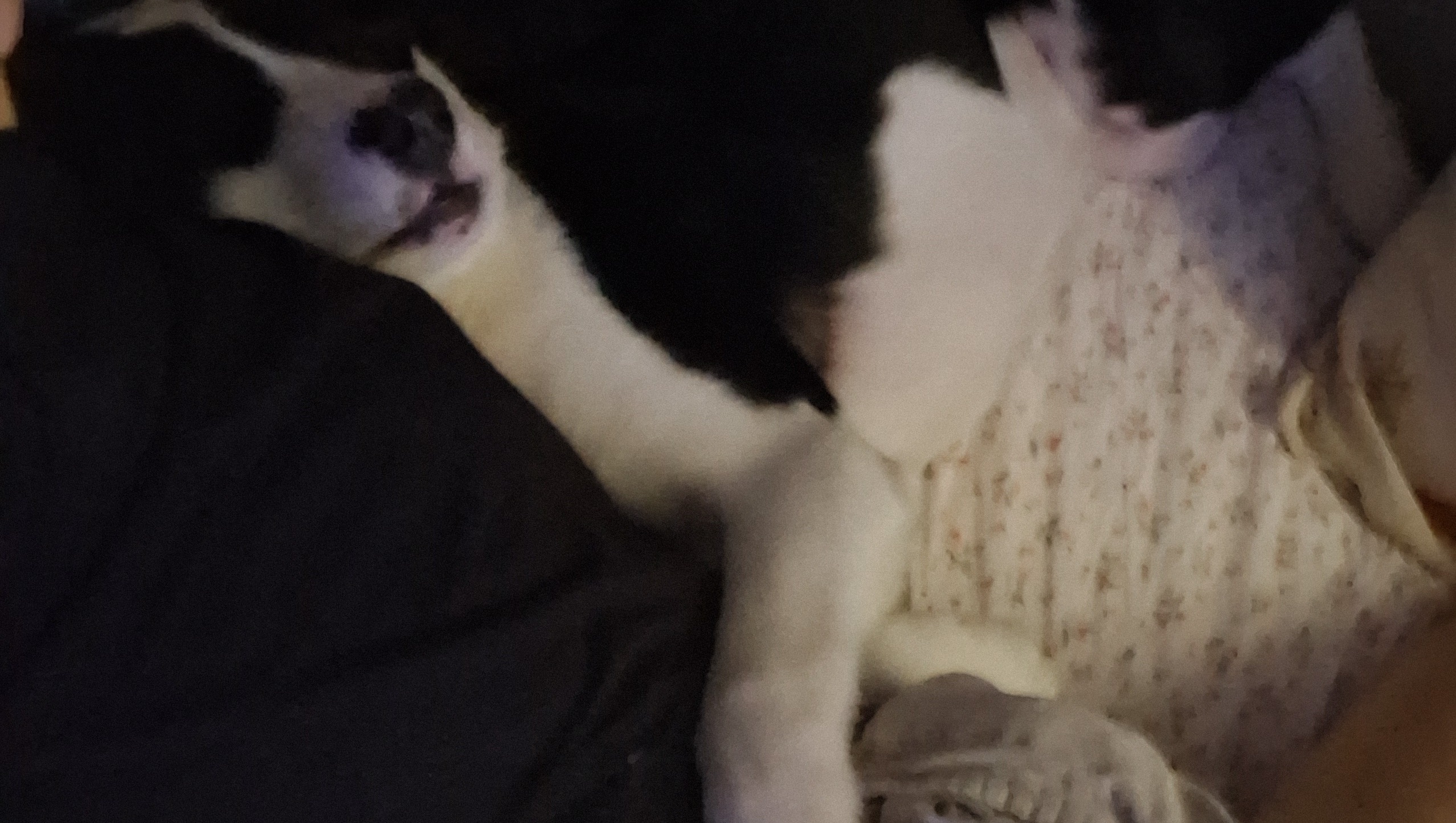 Help Buddy photo