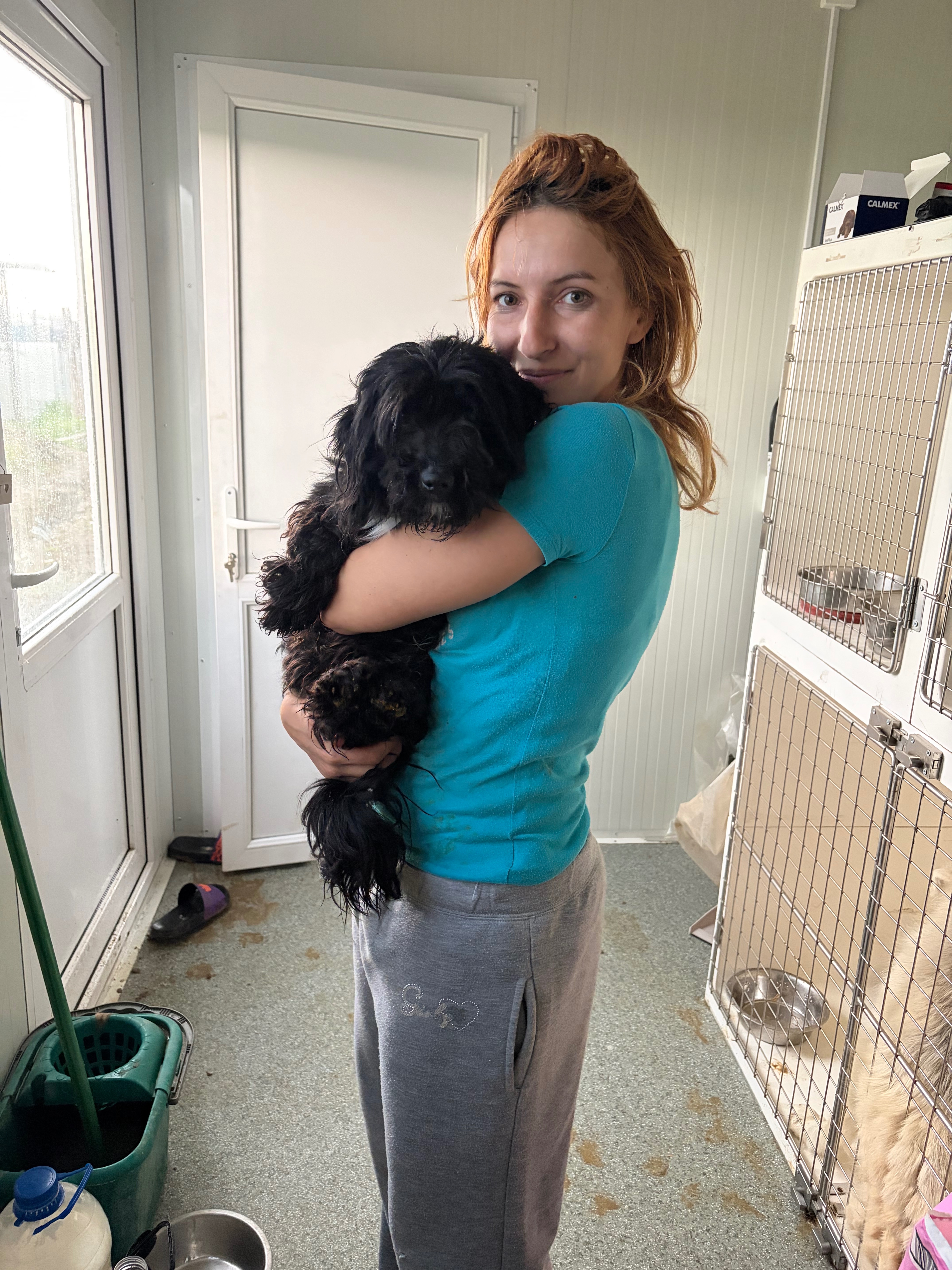 Help Theea build a Safe Area Forgotten Animals campaign photo, 6 of 7