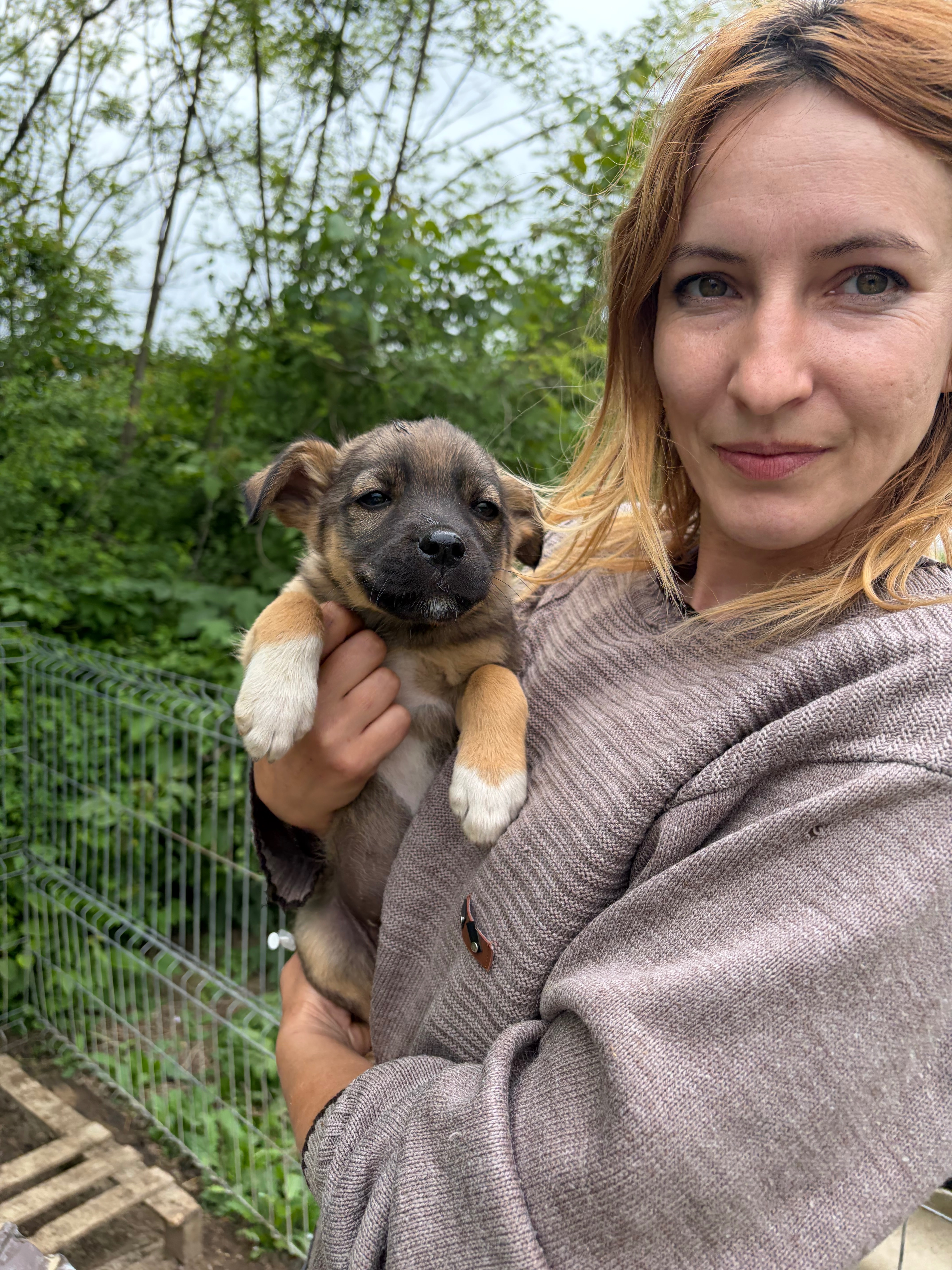 Help Theea build a Safe Area Forgotten Animals campaign photo, 2 of 7