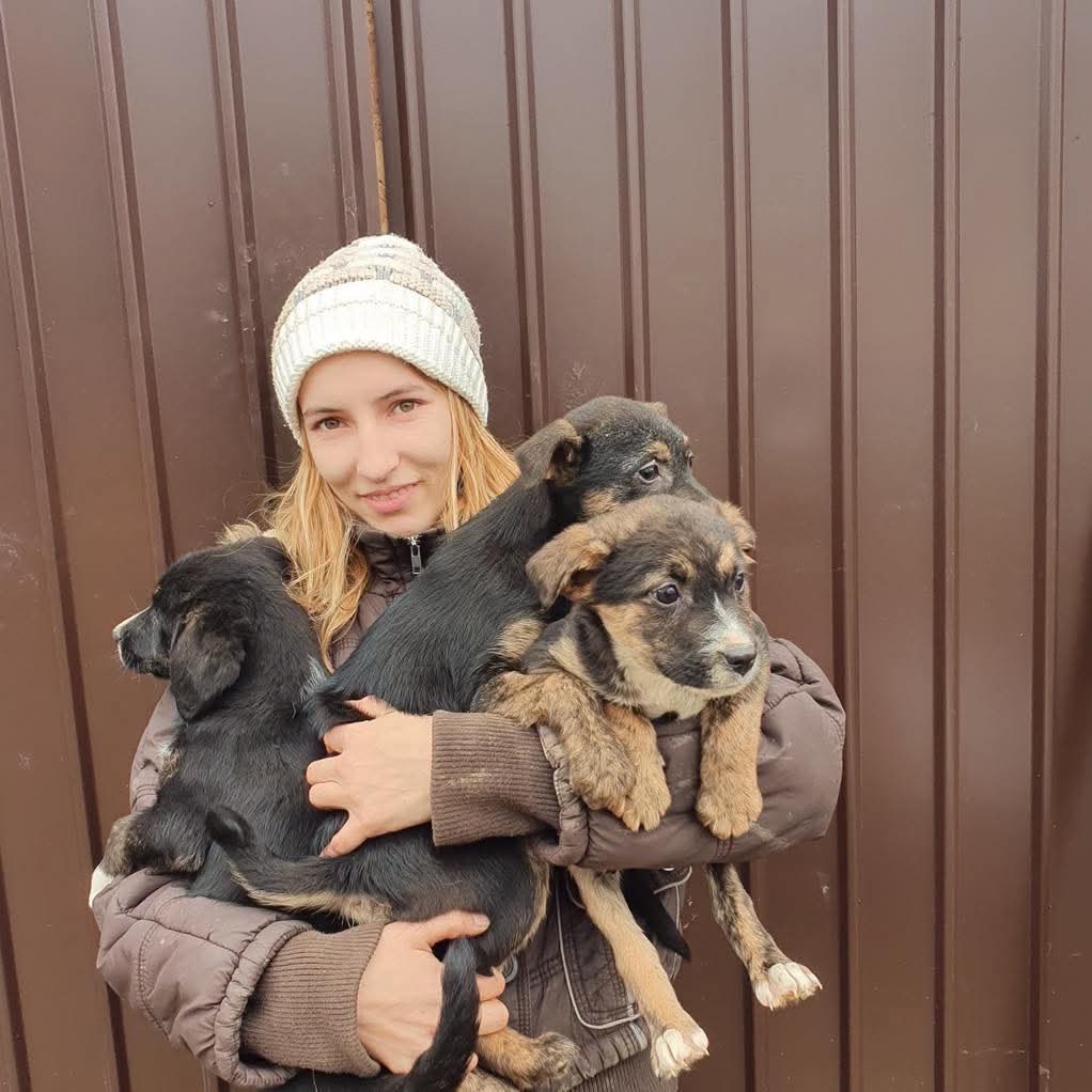 Help Theea build a Safe Area Forgotten Animals campaign photo, 4 of 7