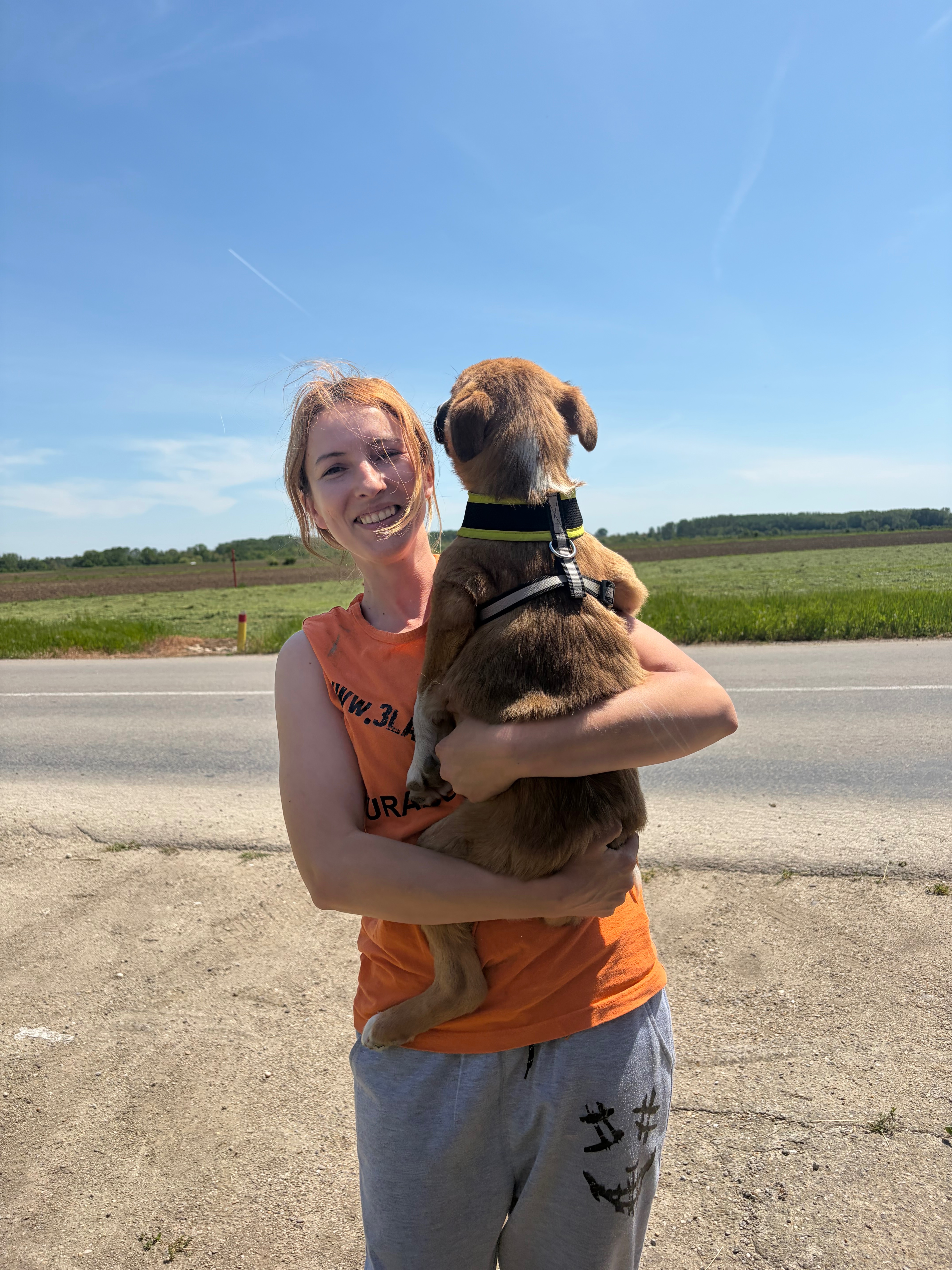 Help Theea build a Safe Area Forgotten Animals campaign photo, 5 of 7