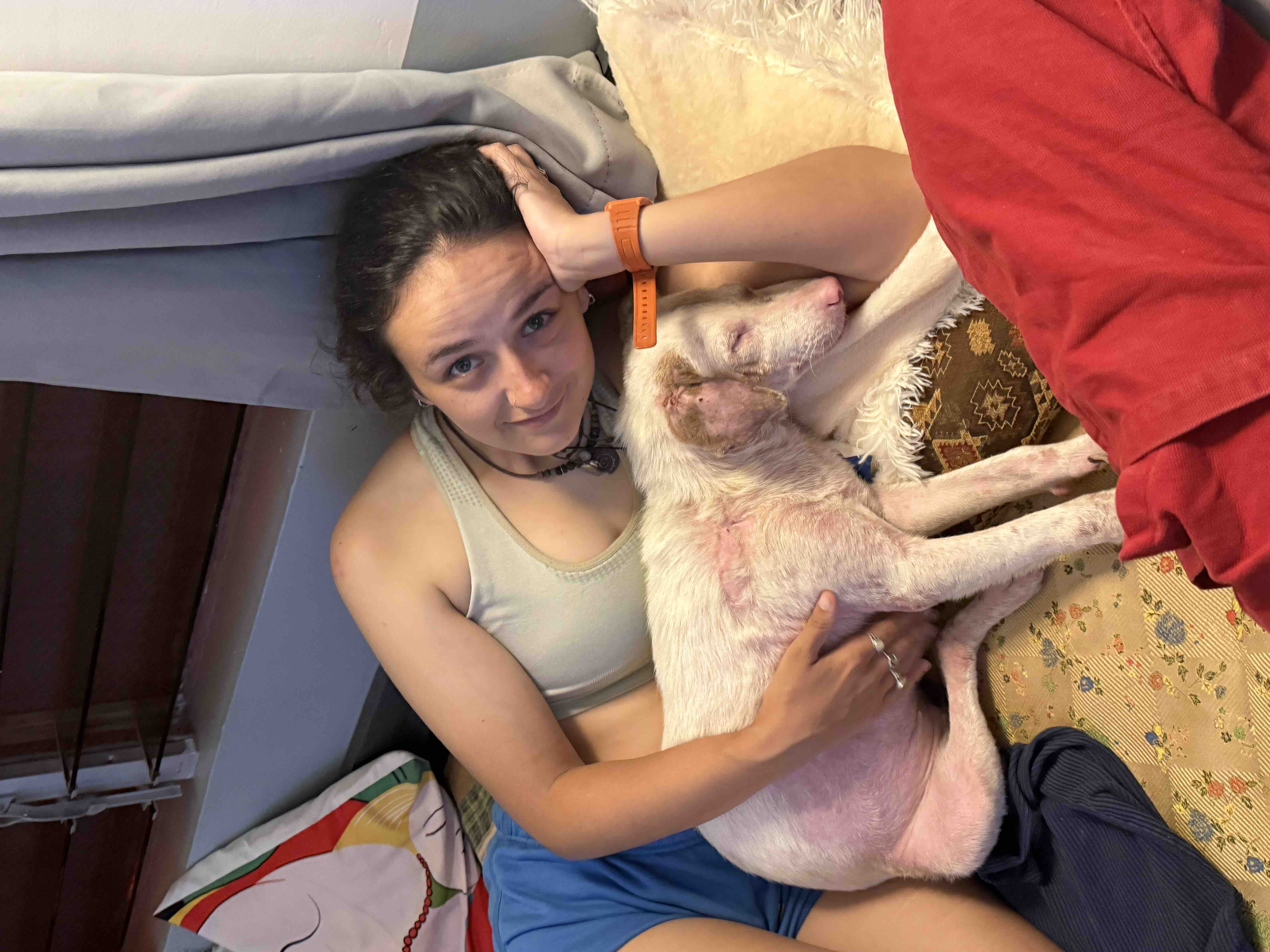 Help us rescue stray dogs from the Philippines campaign photo, 6 of 8