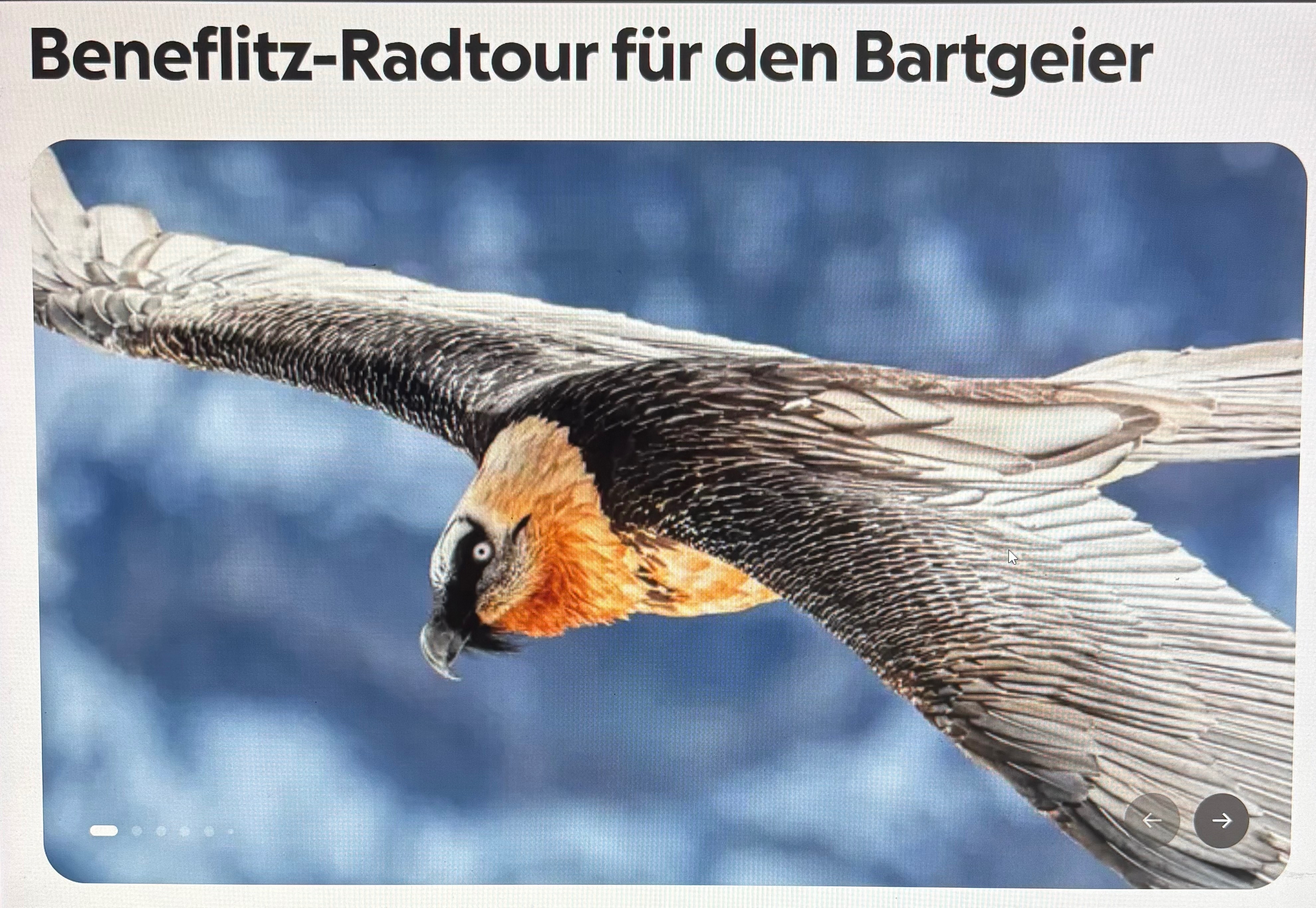 Beneflitz-Radtour für den Bartgeier campaign photo, 6 of 8
