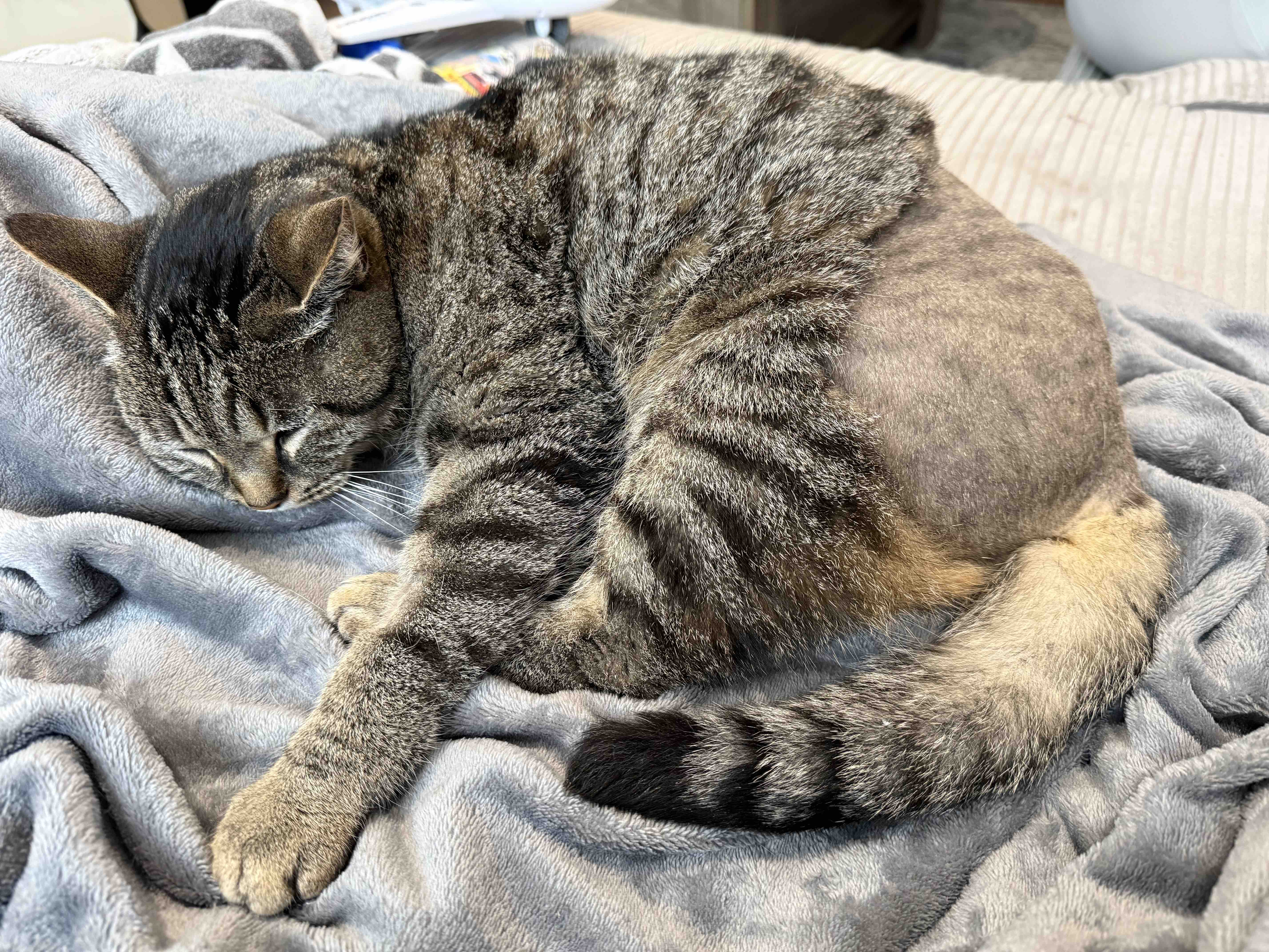 Kampagnen-Foto für Unterstützung für die kleine Lilo nach Unfall, 5 von 8