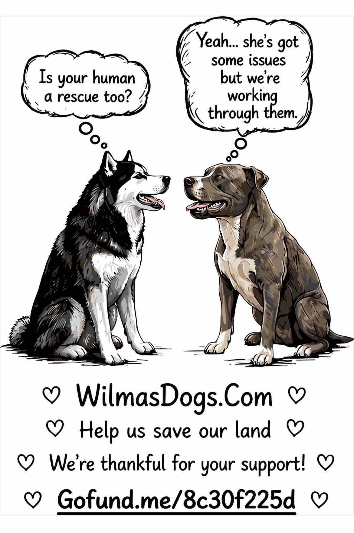 Support Mr. K's Halfway House for Hounds & Kitties Too campaign photo, 7 of 8